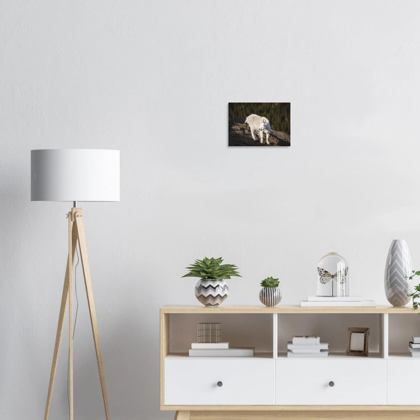 4799a393-56ee-41a7-9903-2f7caa984fcf