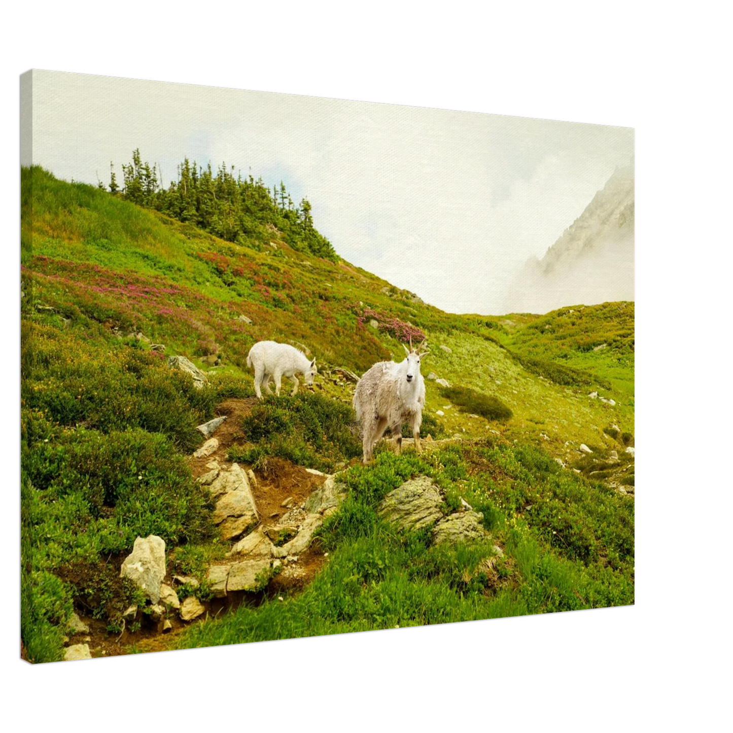 48b31b50-81d5-44b4-9dd4-94b958ac6ac4