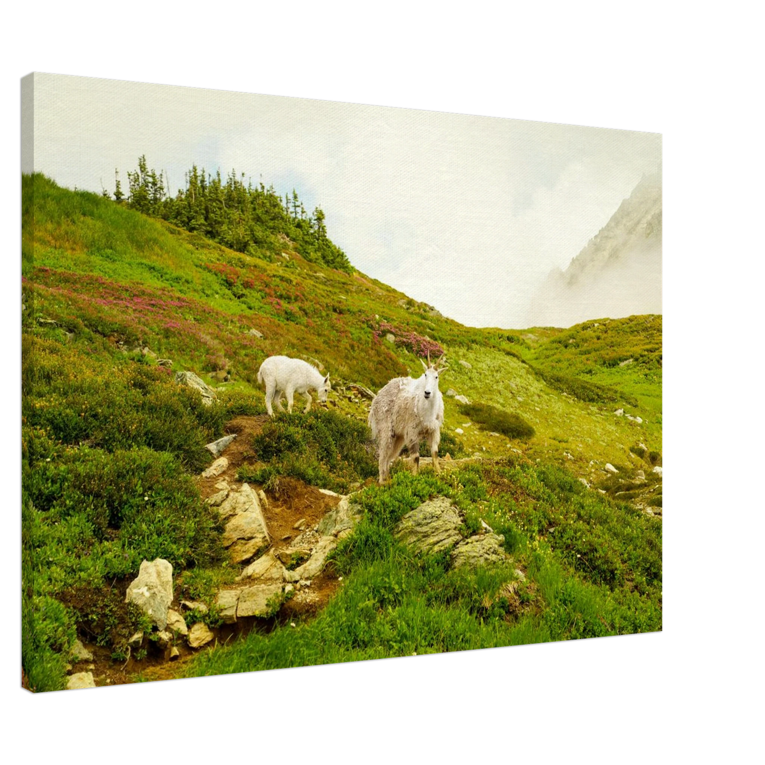 48b31b50-81d5-44b4-9dd4-94b958ac6ac4