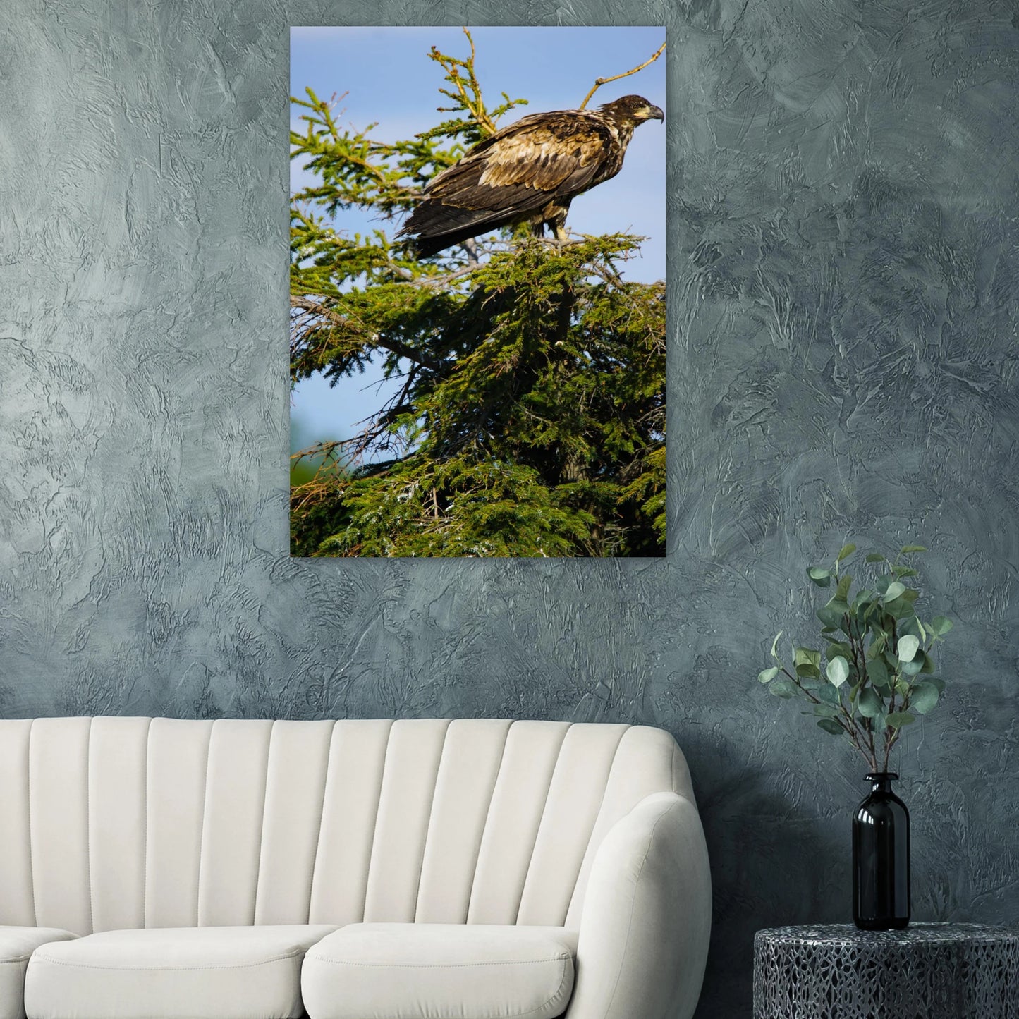 49800165-d63d-45ff-8712-cf113af07e0a