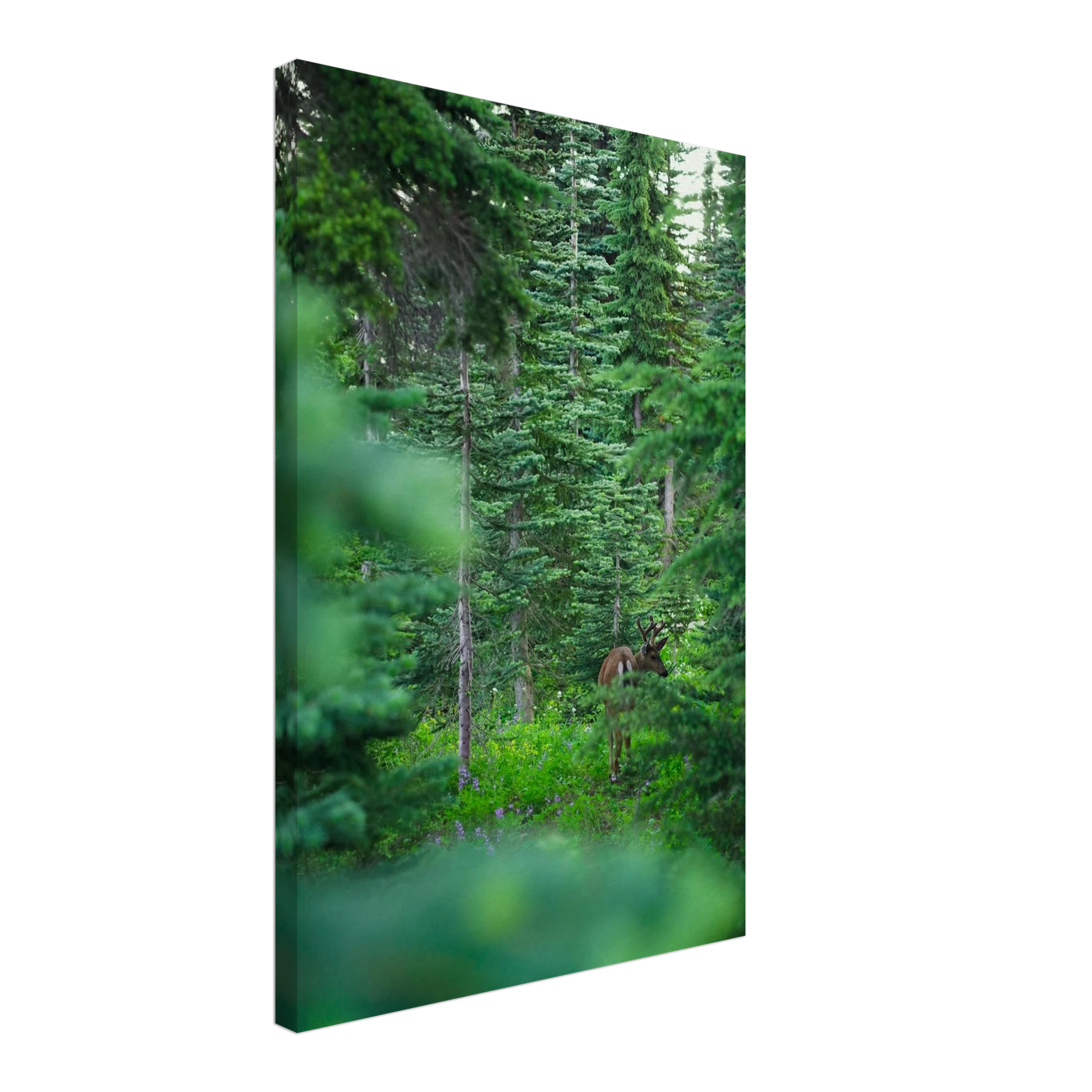 49cff6e6-5b67-4189-b978-90d0f0a73ad6