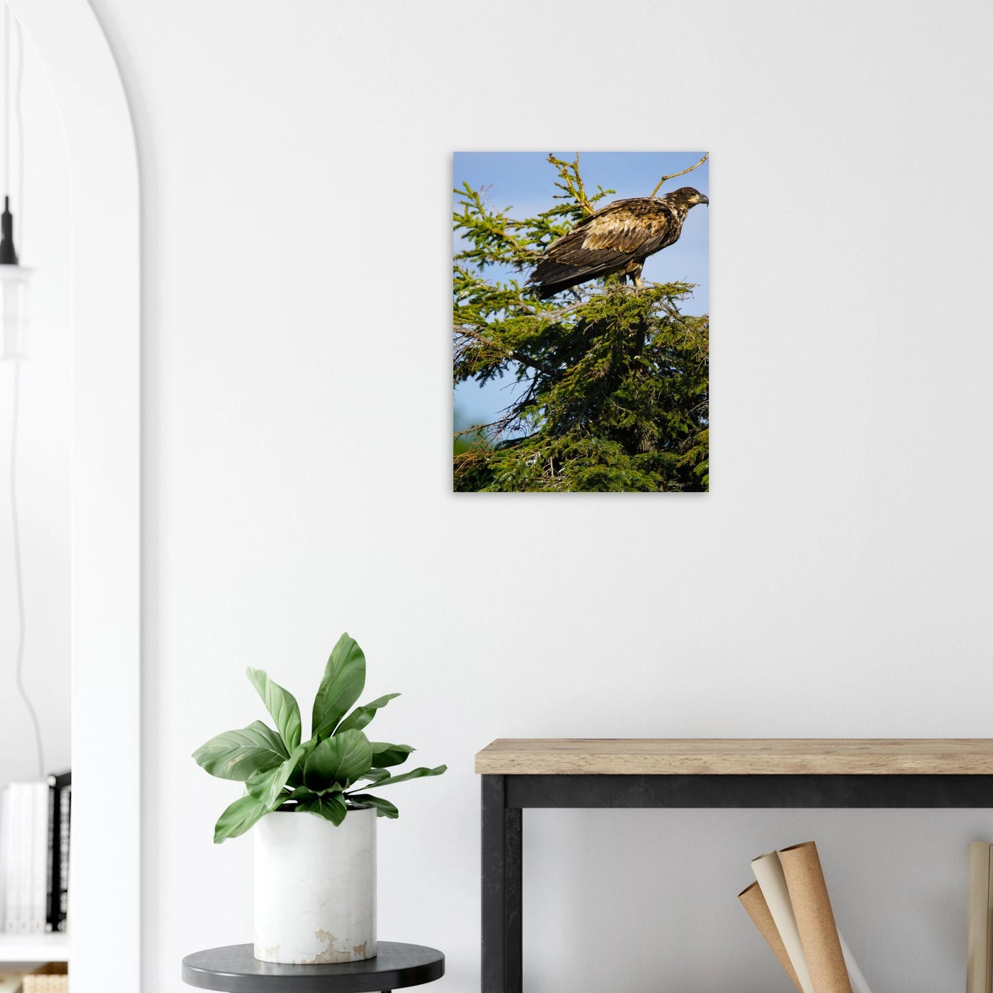 4aaaed1c-4ffe-406f-9f41-4a9ad2e03646