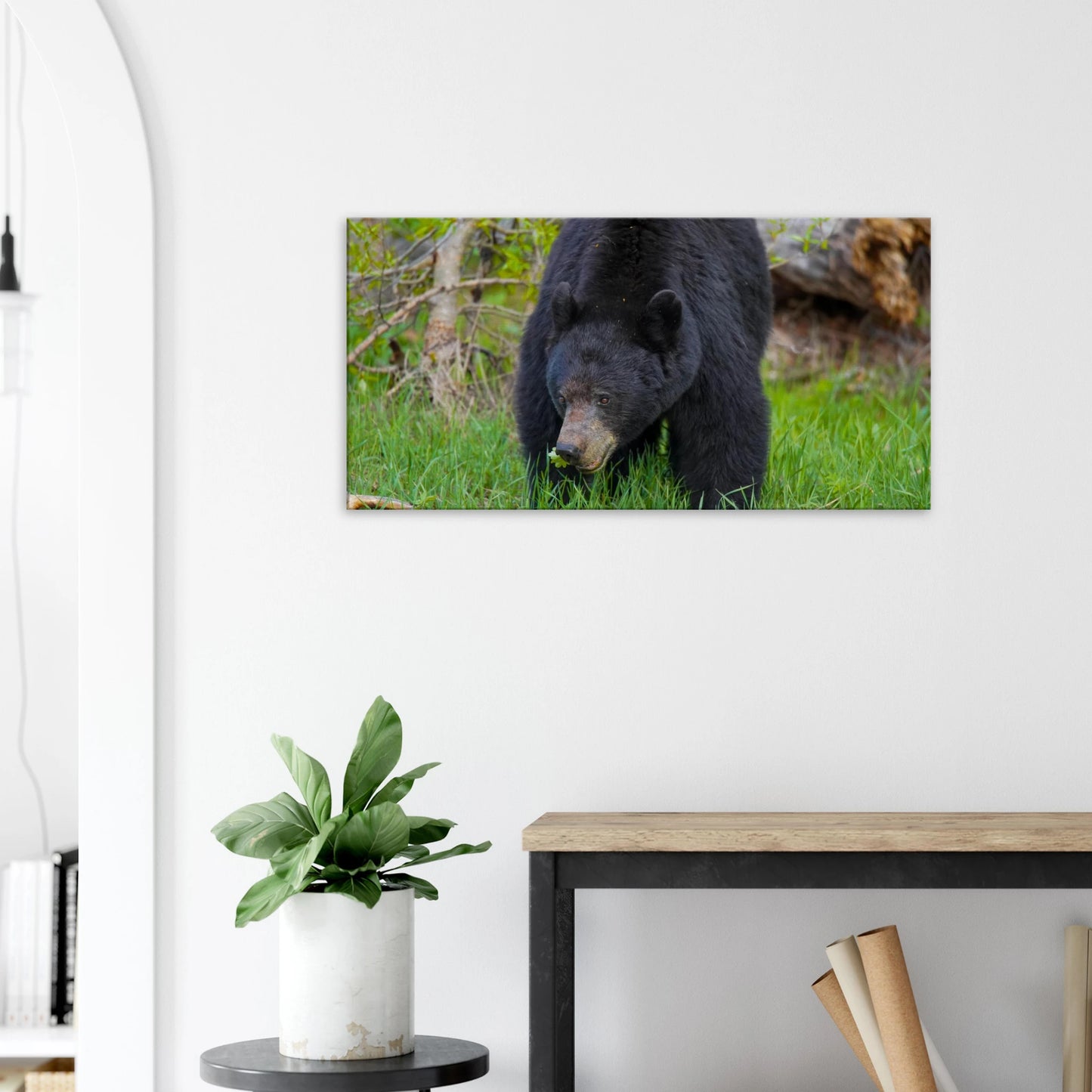 4ac8657a-e2c3-4695-b184-ad47c8ee7c46