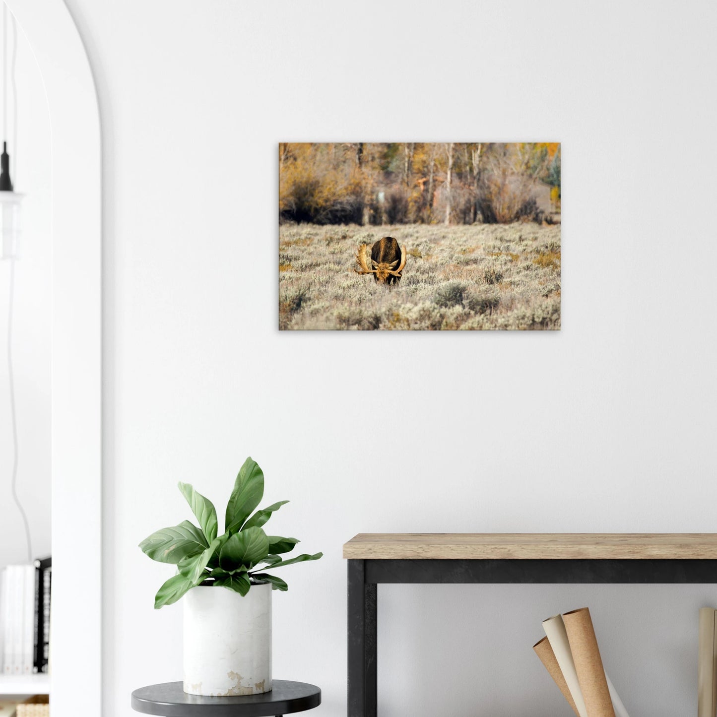 4c515017-1cfa-4c6d-b12d-111453fb024d