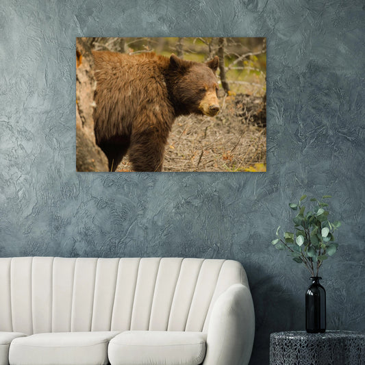 4c8c0a1e-9134-4f3b-8061-2dd6a0fb1a9c