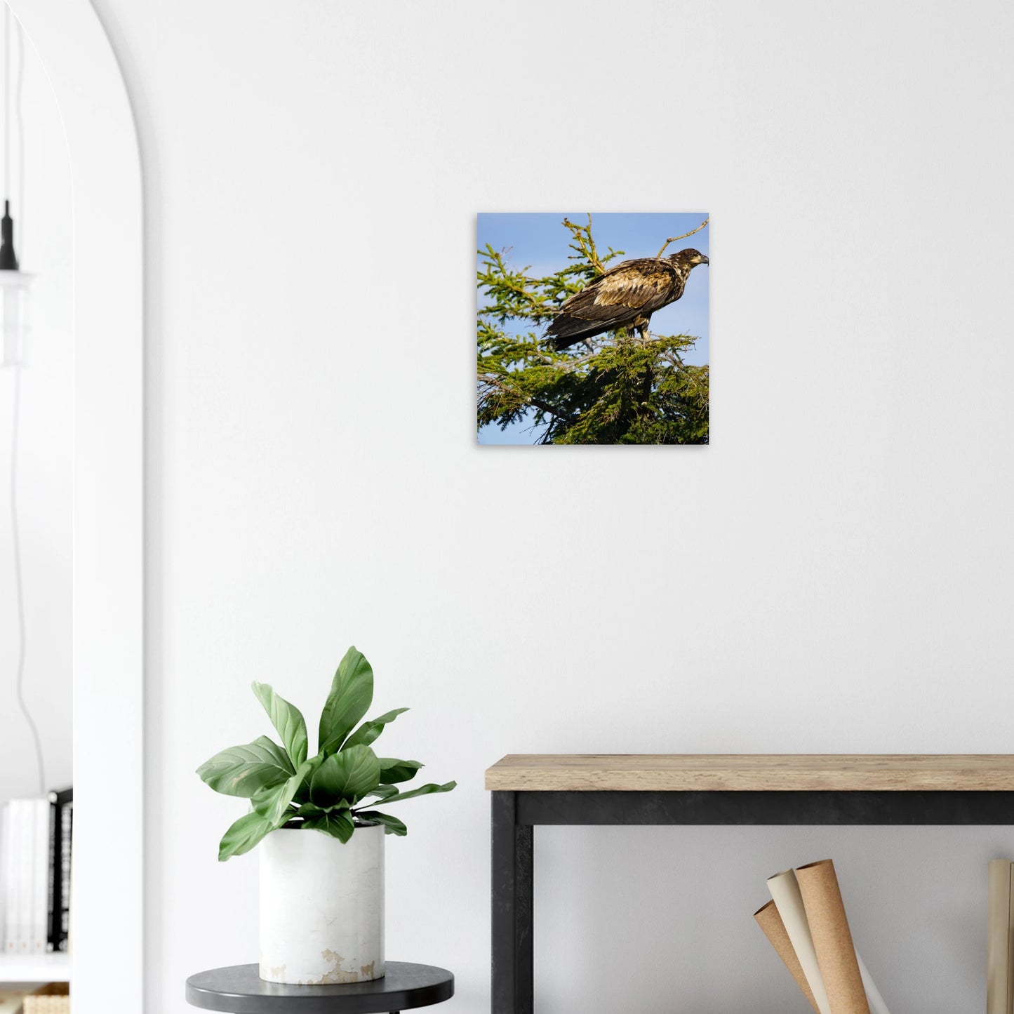 4cbbc48f-9459-4887-93fe-a64e658e700e