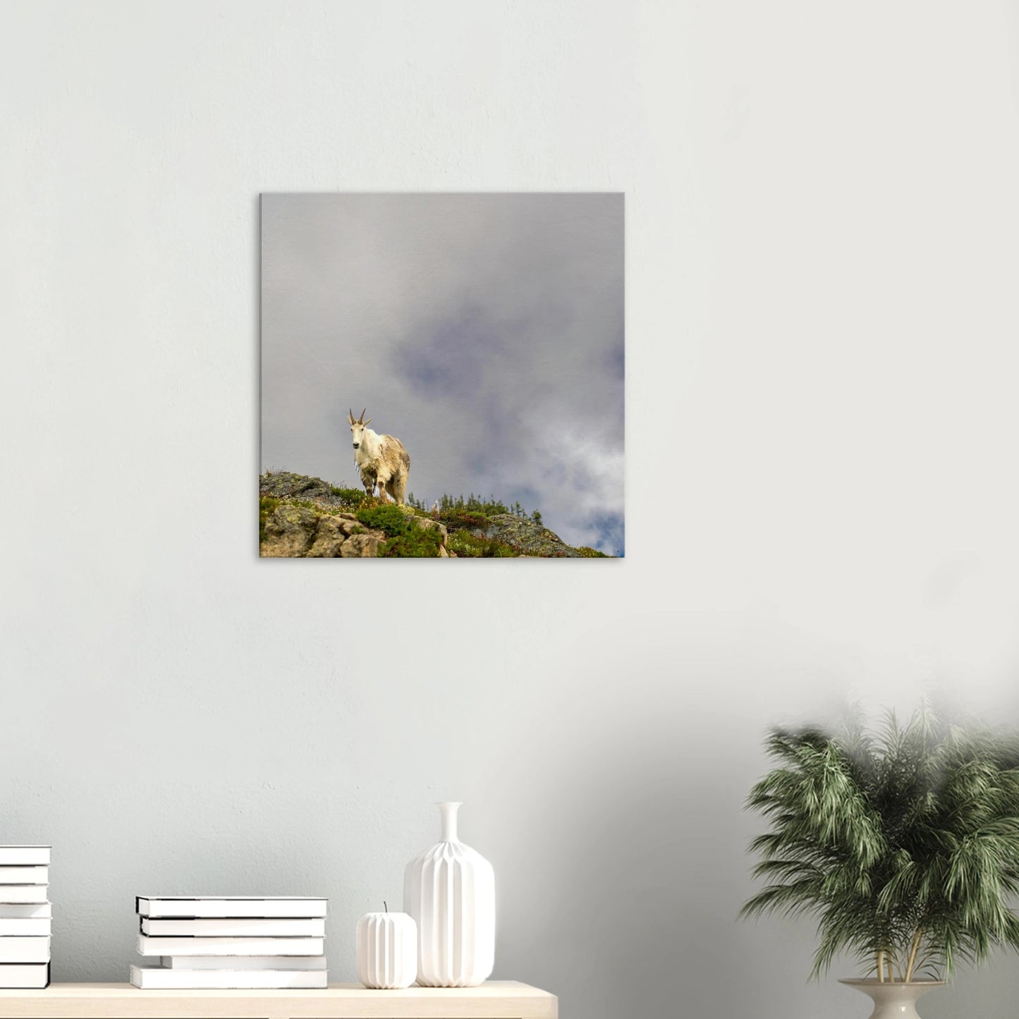 4f506823-c7d9-47a9-a3fc-1f07c7aeaec9