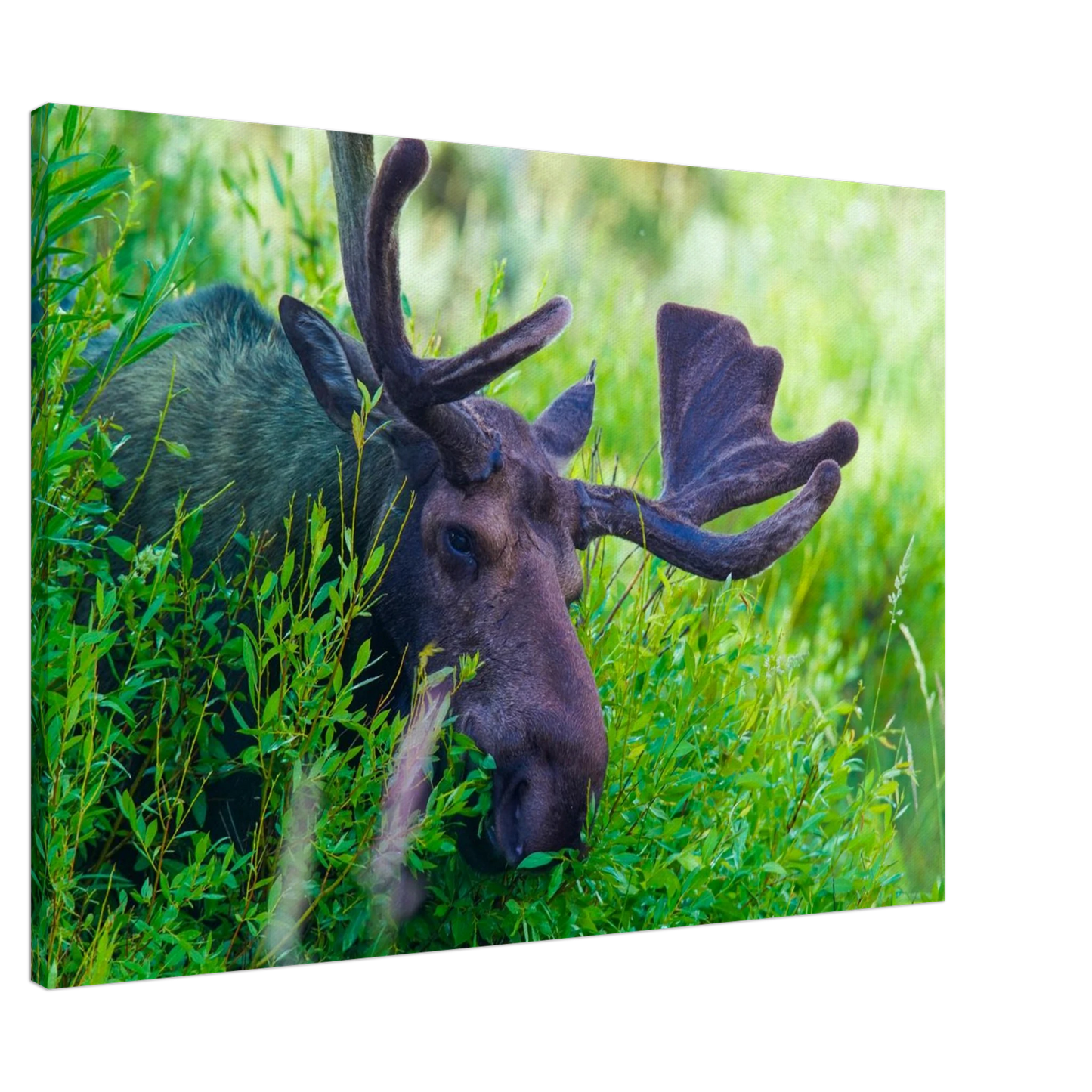 4f7637d6-be57-4cc7-b4f4-919fcc831097