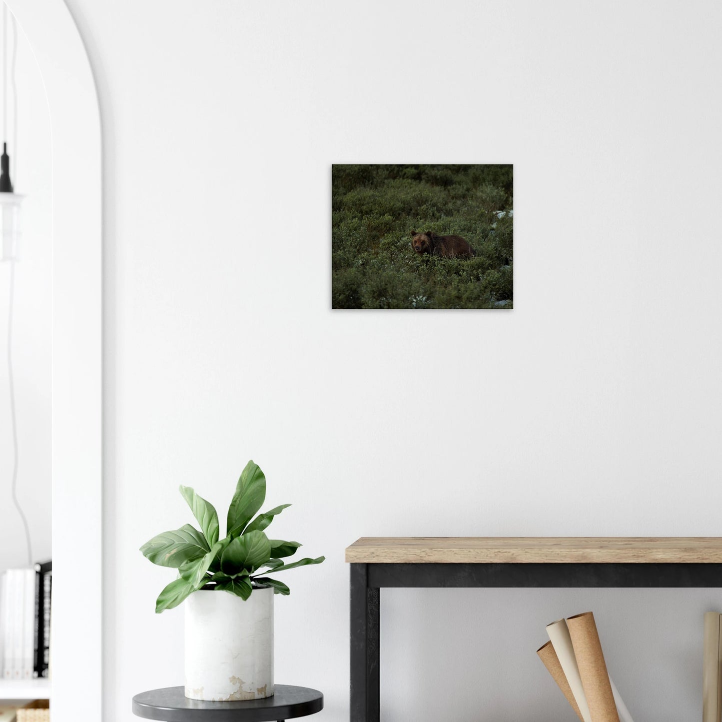 4ff5acf4-2bce-4ac9-81ff-ad59e367e796