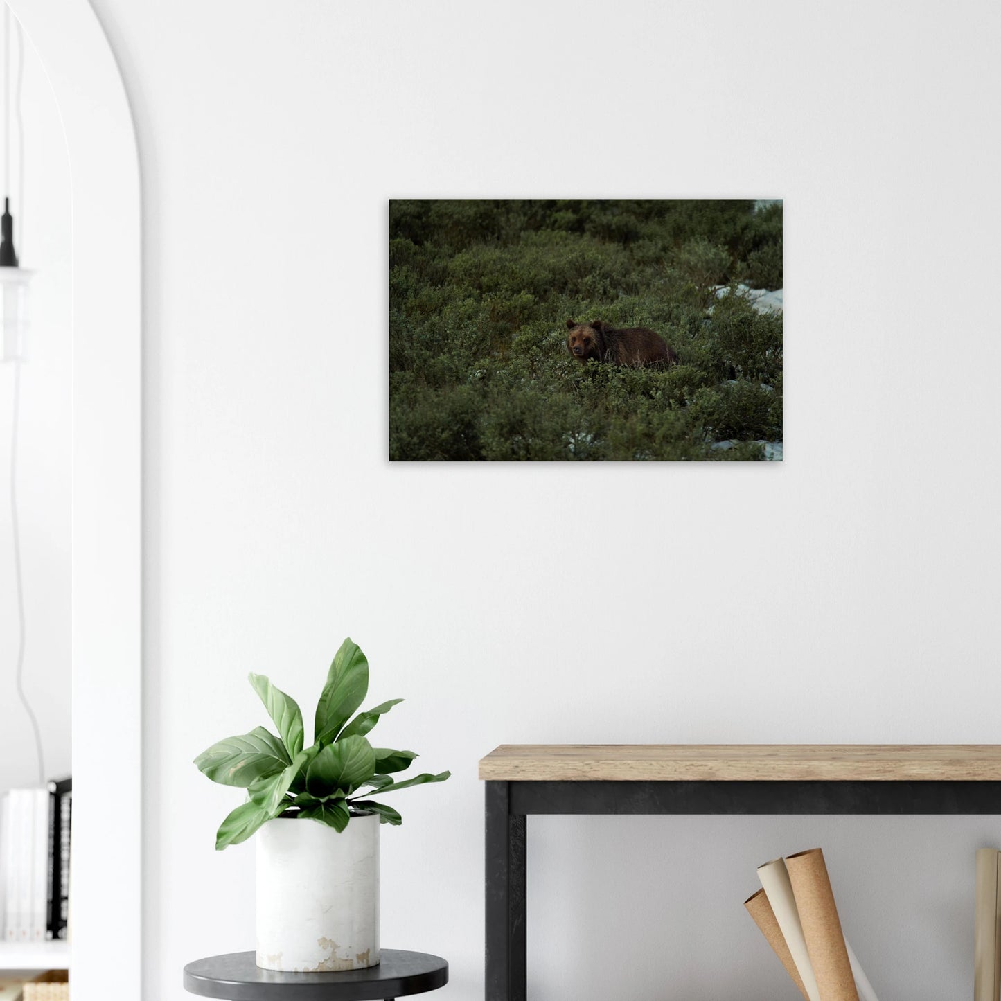 5010c704-9872-42e8-a8cb-24922cc5ab09