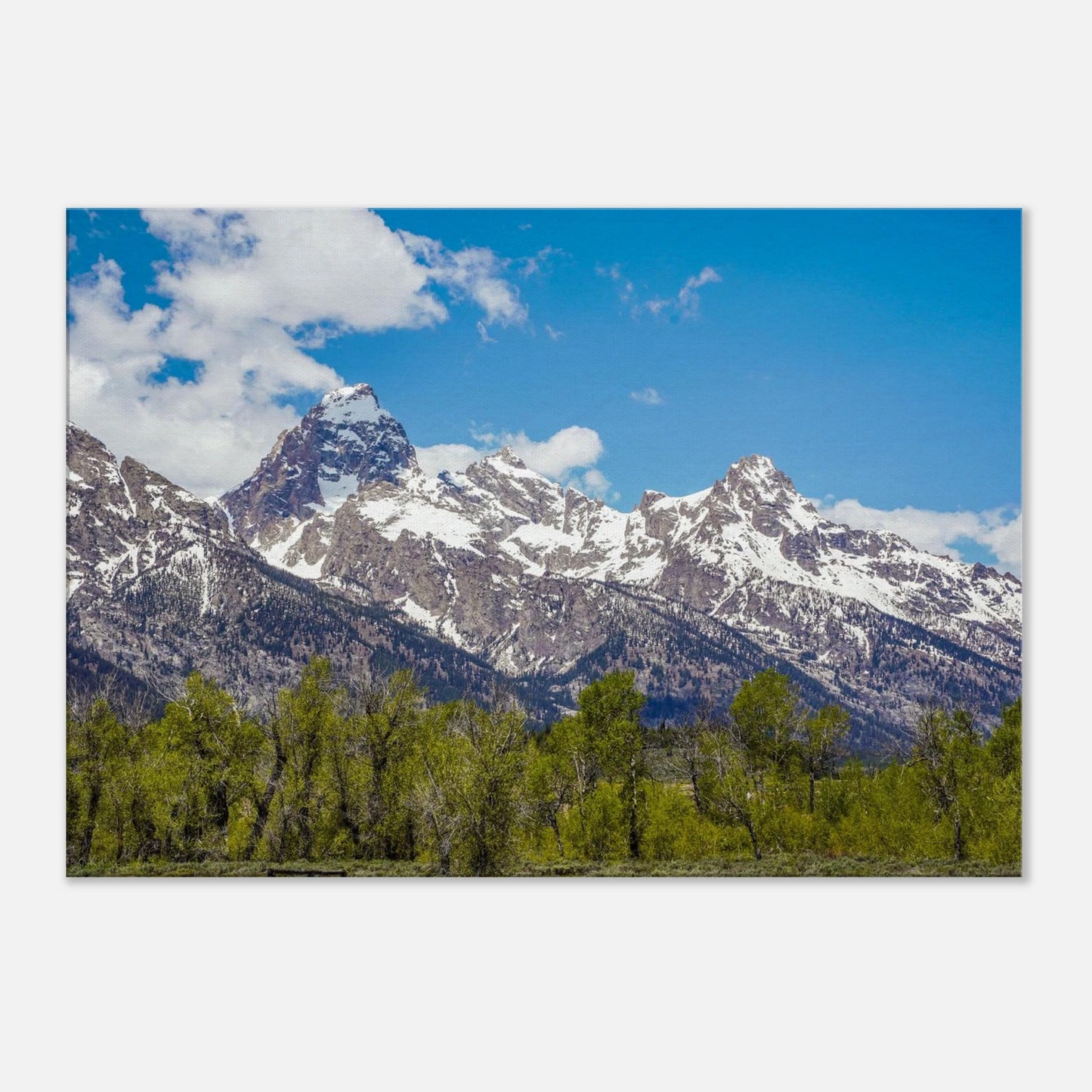 51d28caf-116b-4c68-9b45-86e7b2f13105