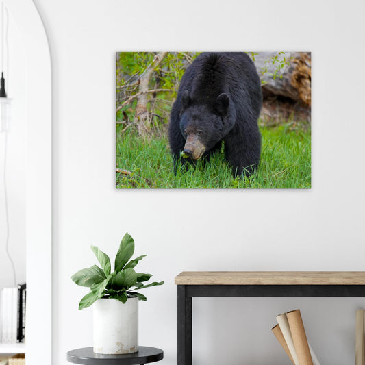 573fa18d-8f75-4255-99b9-a87e71003358