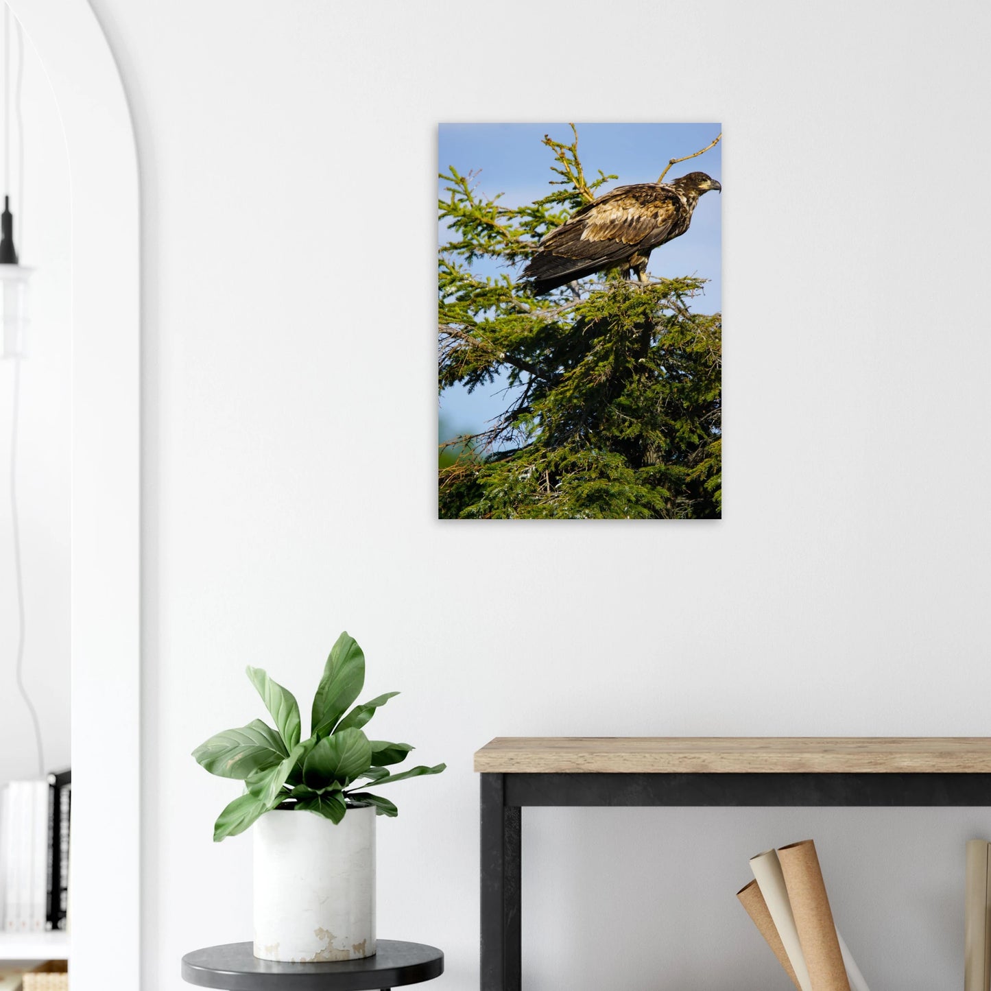 59b3a703-93de-4342-b1ae-1a3afcb6f31a