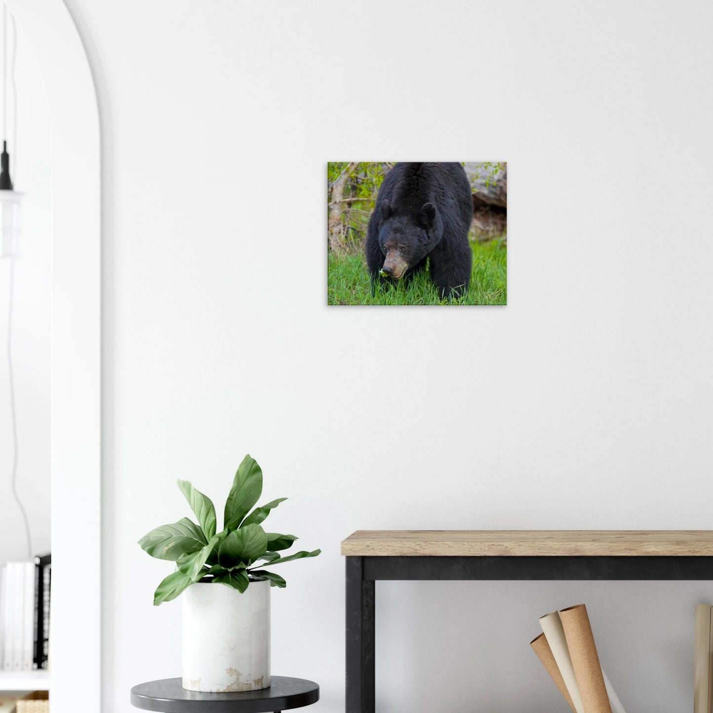 5a95eece-75b2-444f-9274-a6dcfa0cbd4b