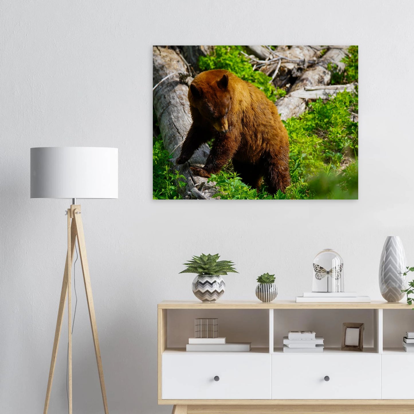 62037df5-7271-48ed-b776-372c2fcc97b1