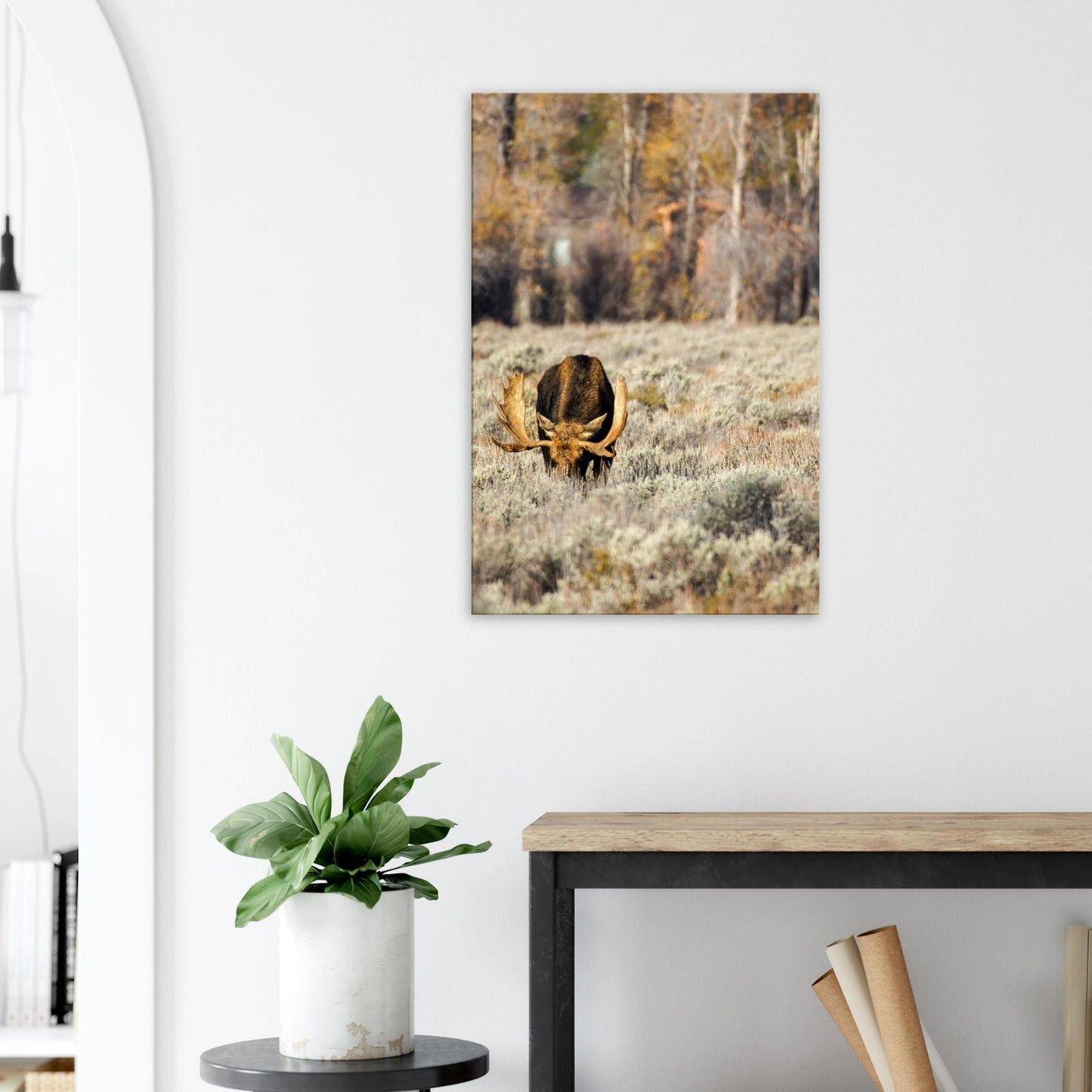 64bc9a2b-f53c-4a8c-8f62-f8cfead0faae