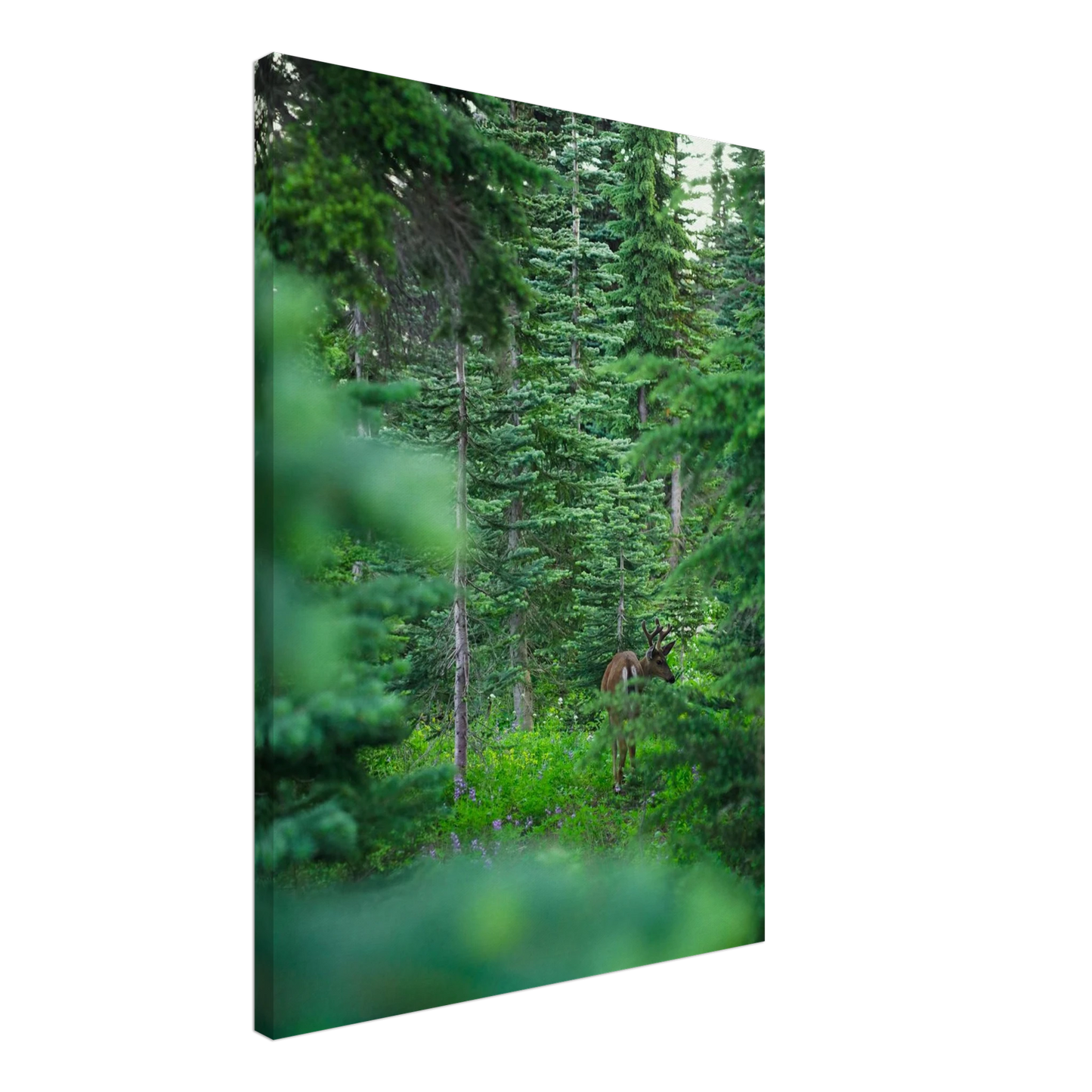 65d78c35-d187-4b38-8361-86e3d97a5802