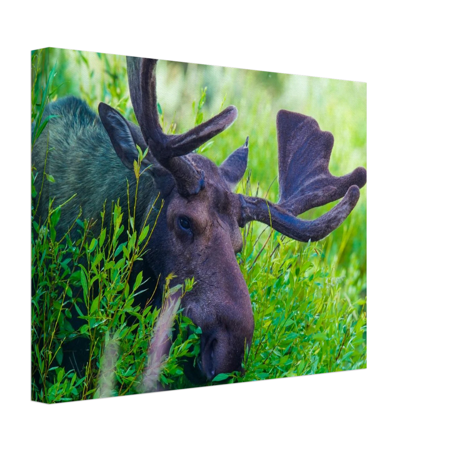 665d9842-c895-4f1d-ac45-597bb3b12d02