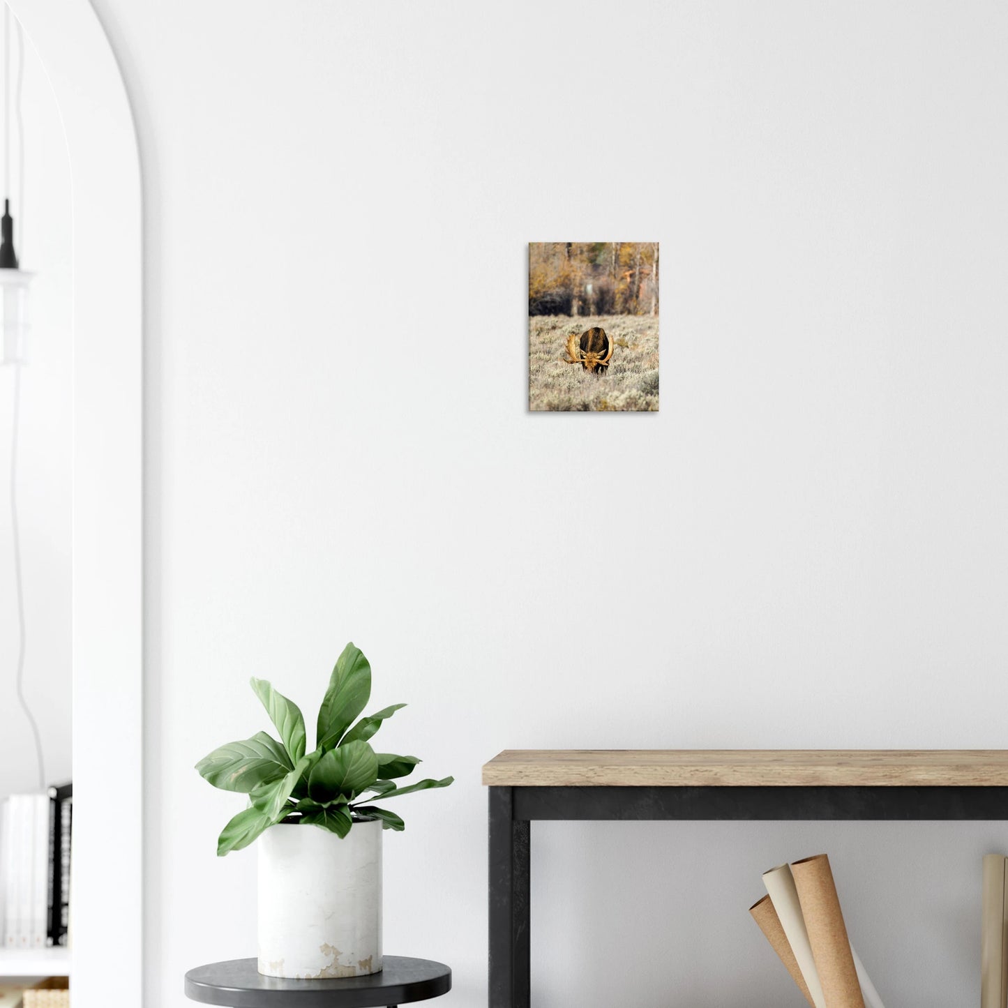 6d453d1d-91ab-43c1-b8b1-7c702ed02dad