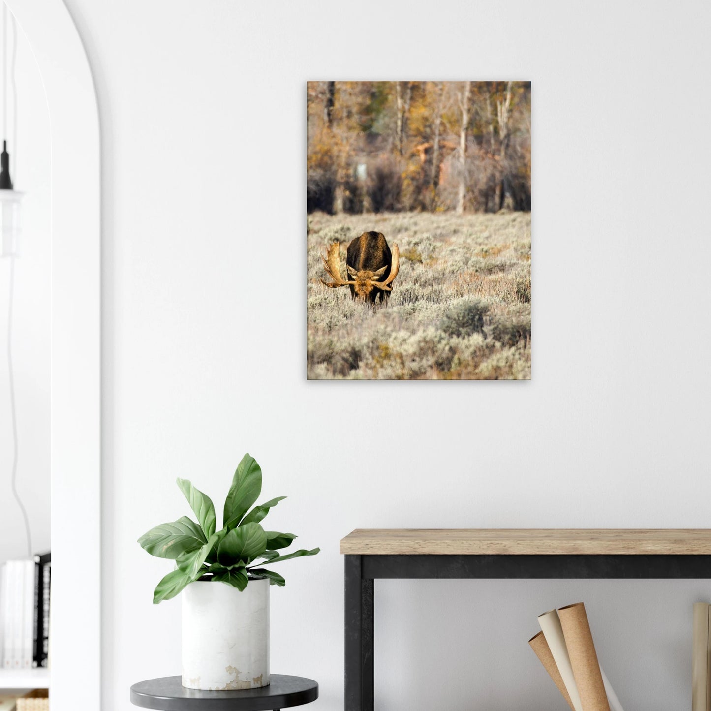 6dd08a07-cbbe-492d-ae04-69280aa9502e