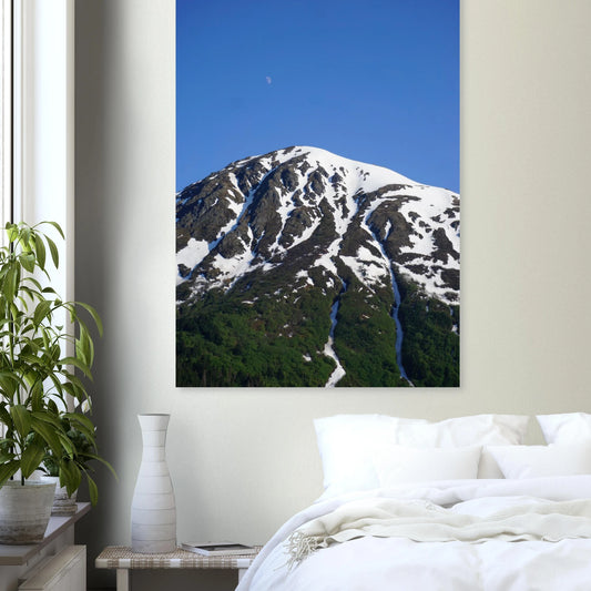 6e479725-c6c8-42d7-9790-dab646e1b91b