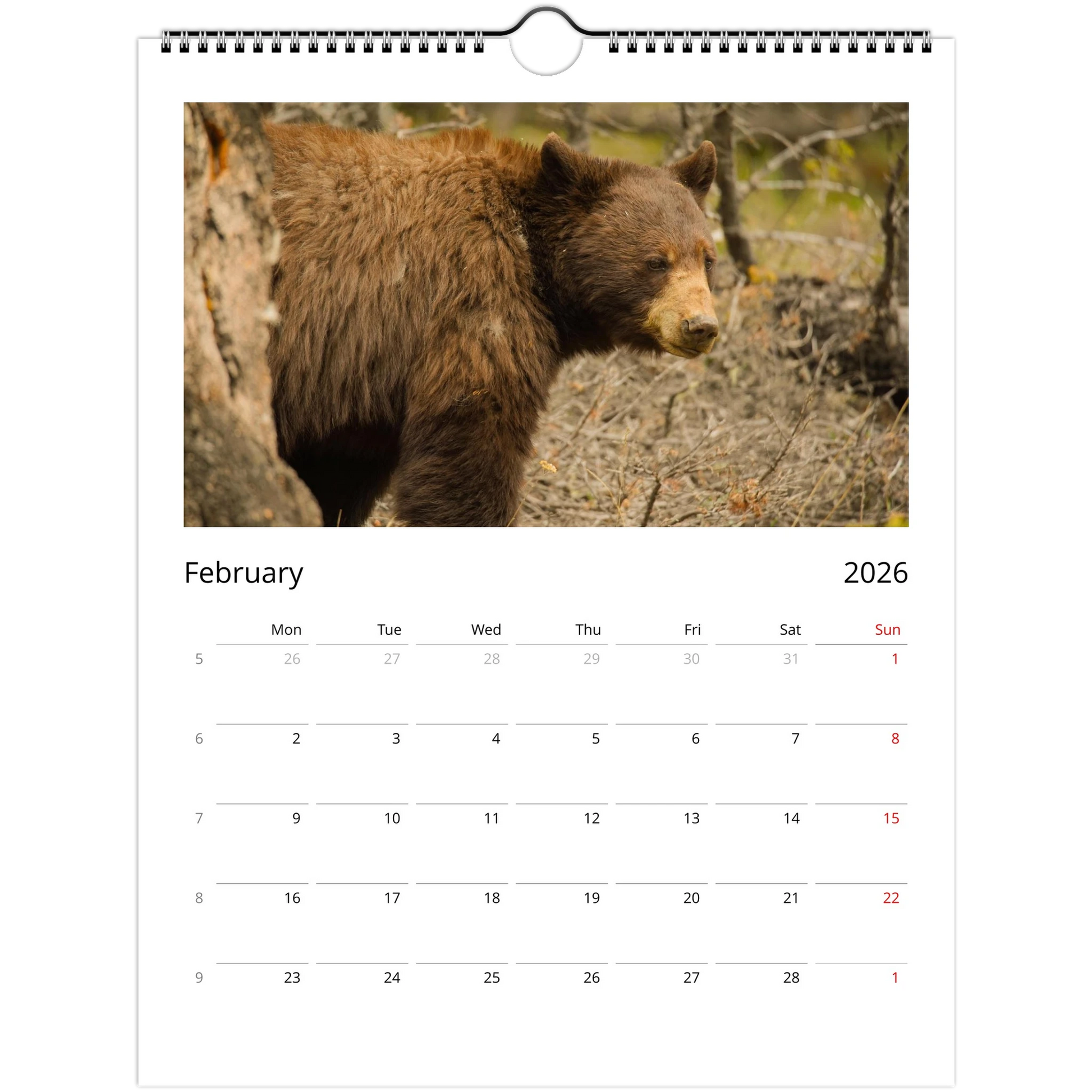 6ec77959-6e15-48ce-90d3-ba7661f6998a