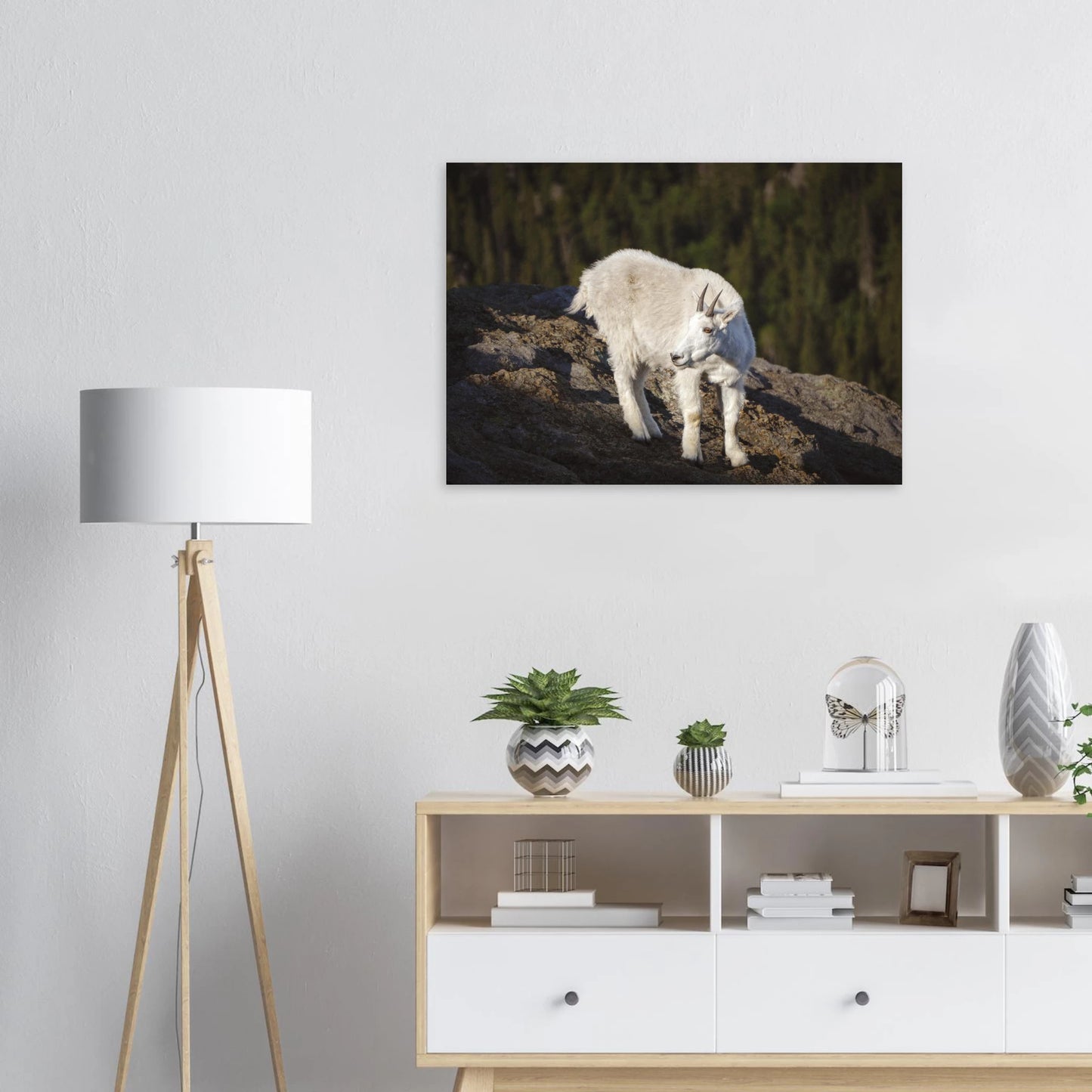 7094f97f-6492-4c05-a8ea-51e8587c4533