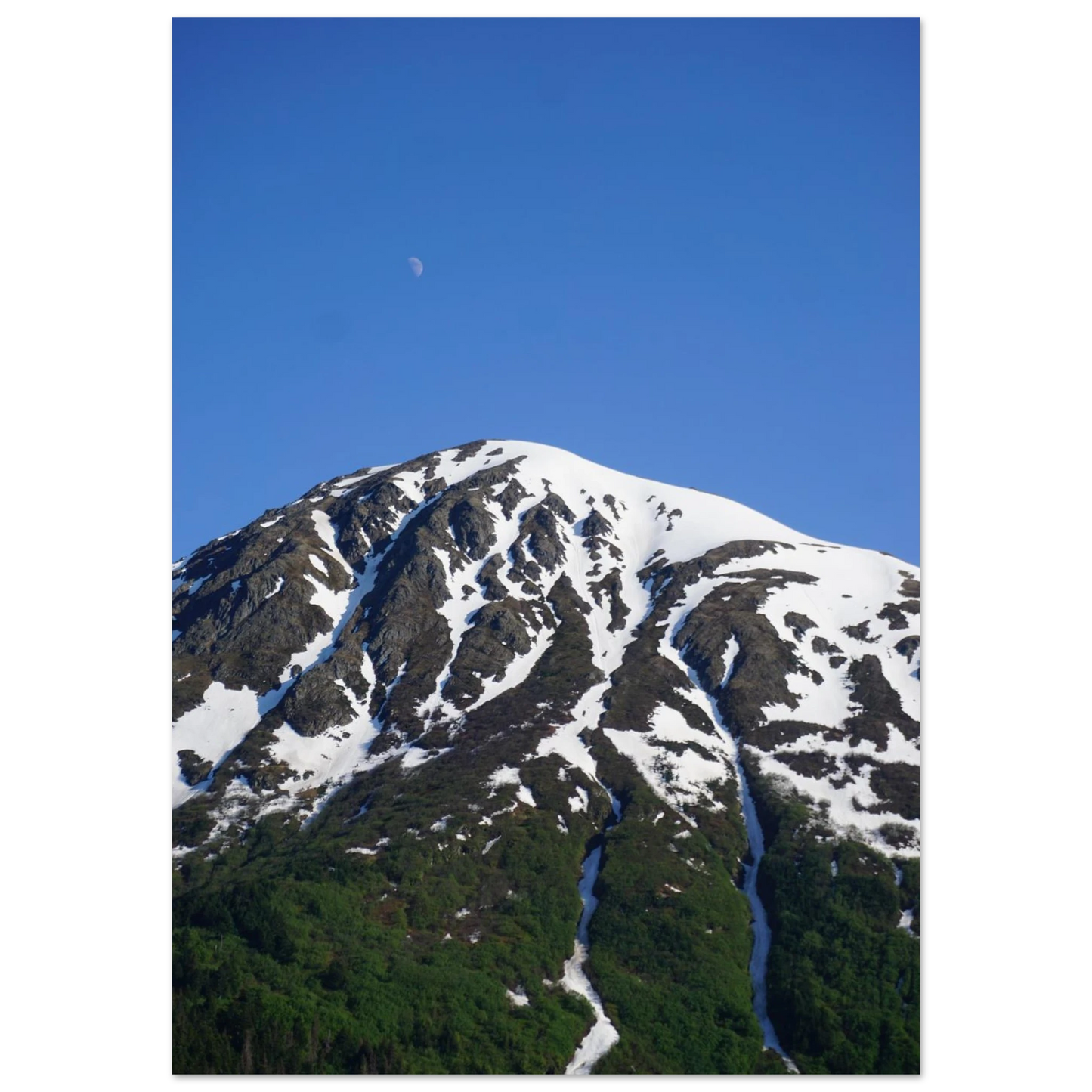 73a0a94c-8fce-43cc-92e6-cd48b1ed74e1