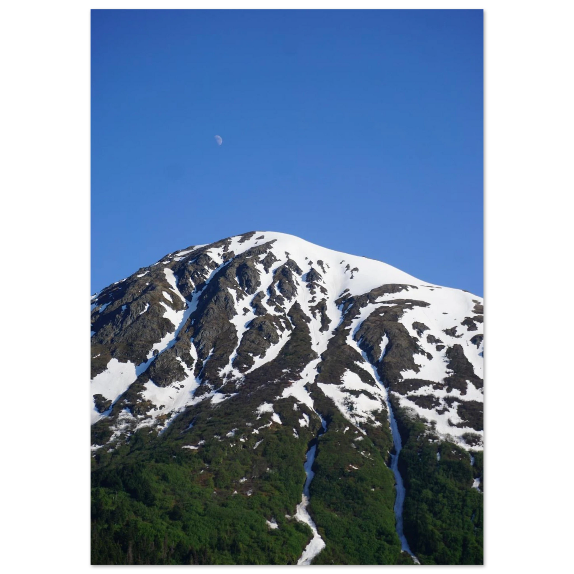 73a0a94c-8fce-43cc-92e6-cd48b1ed74e1