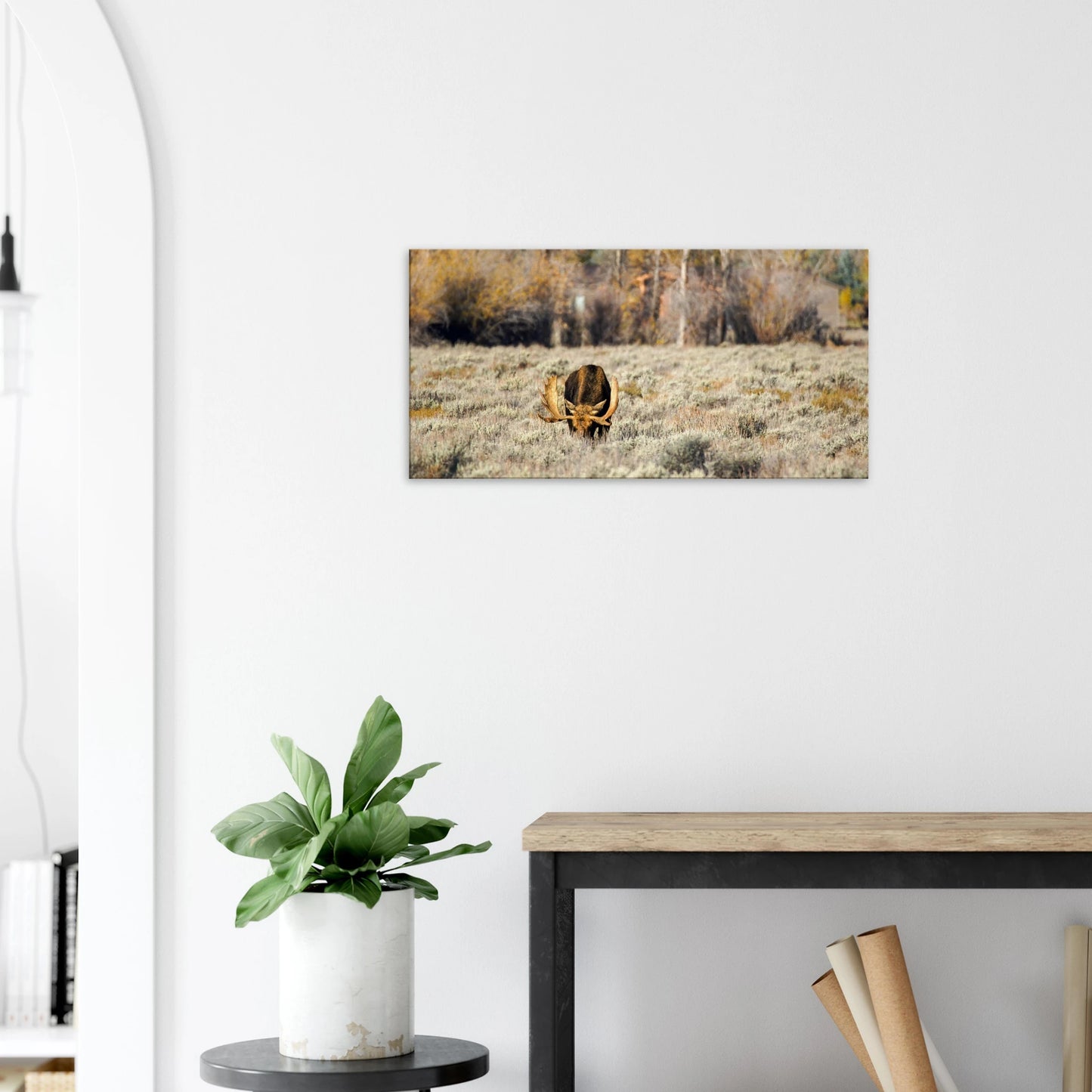 7447a46e-f695-43f8-85ff-6ec8e3f47336