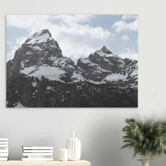 755cb8fa-5a20-464c-a4e5-d473729baad0