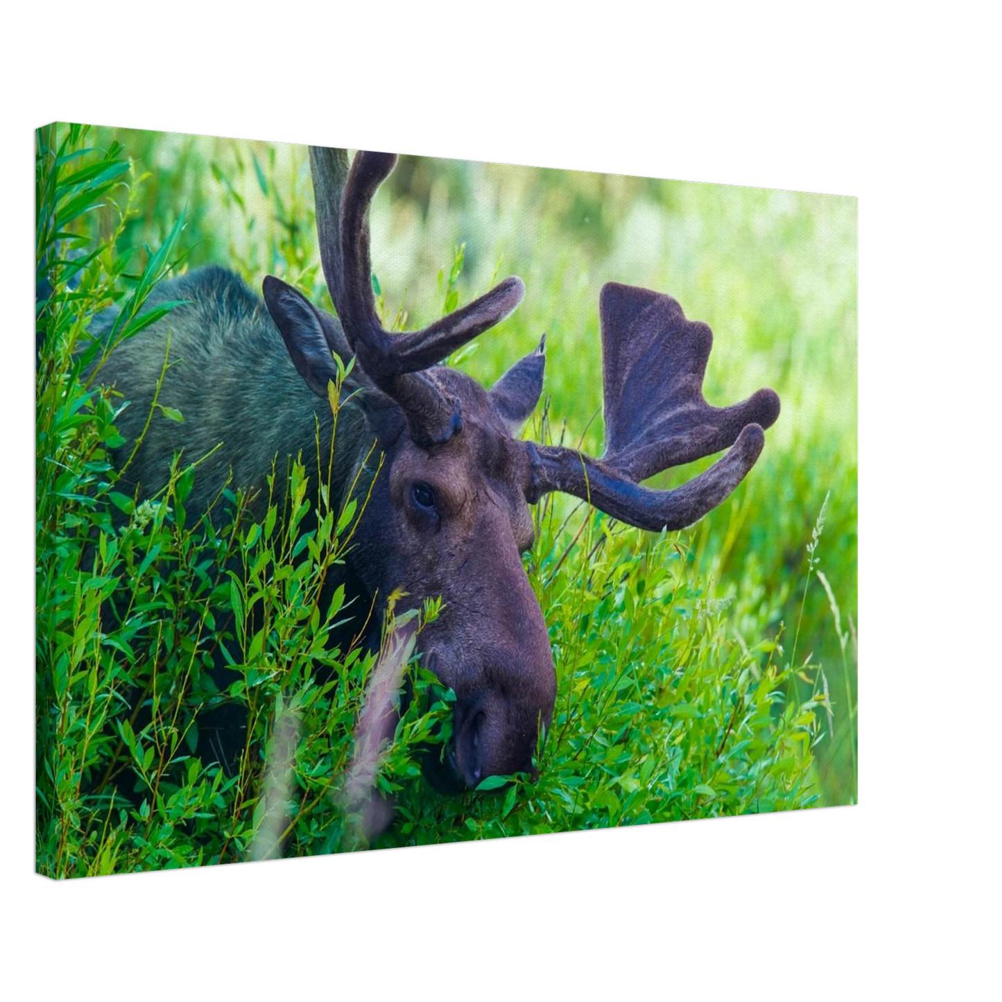 759ee2f8-a032-4af3-b05b-1109ce9779b1