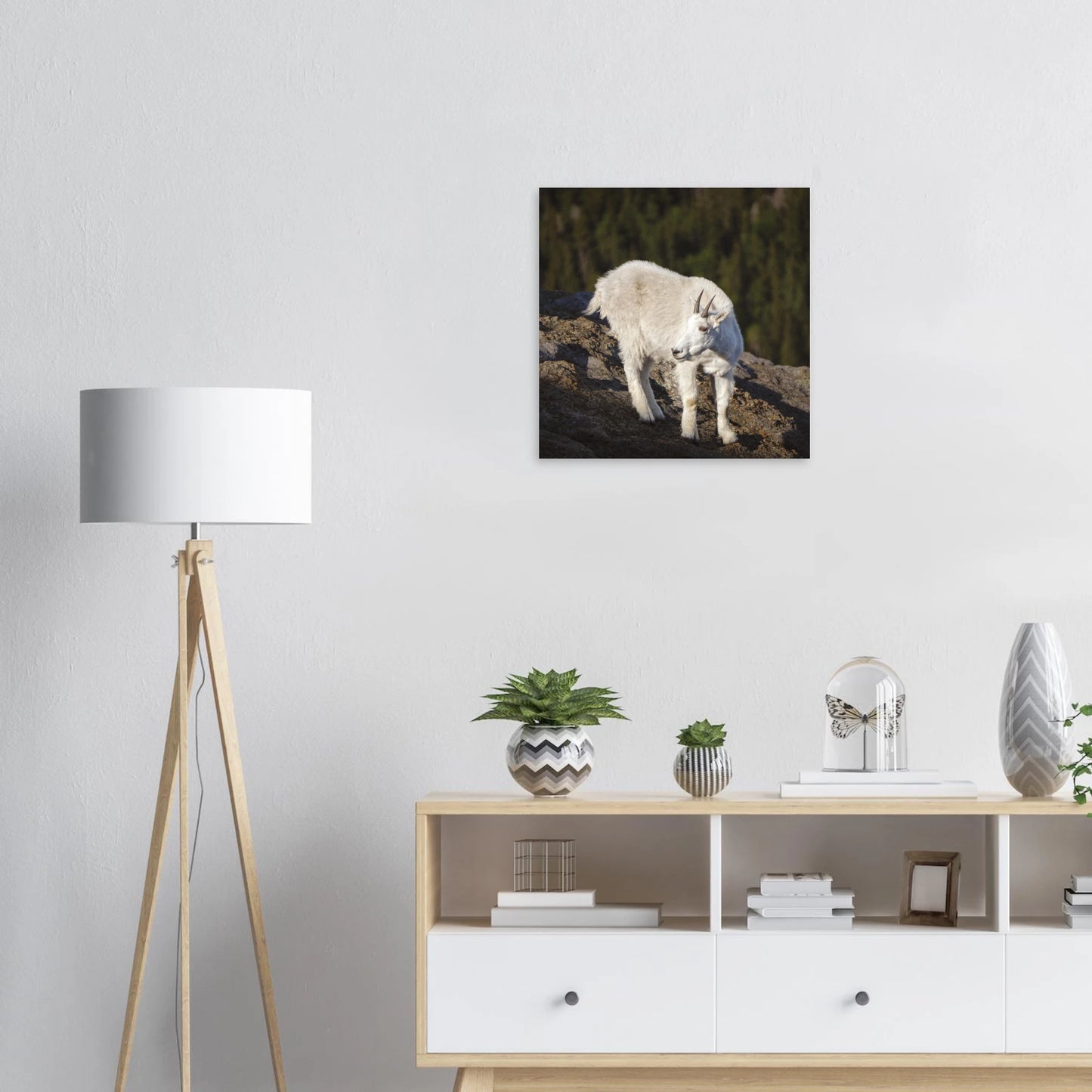 75d75d41-c000-4e81-b5a2-24d1b1a8e5ce