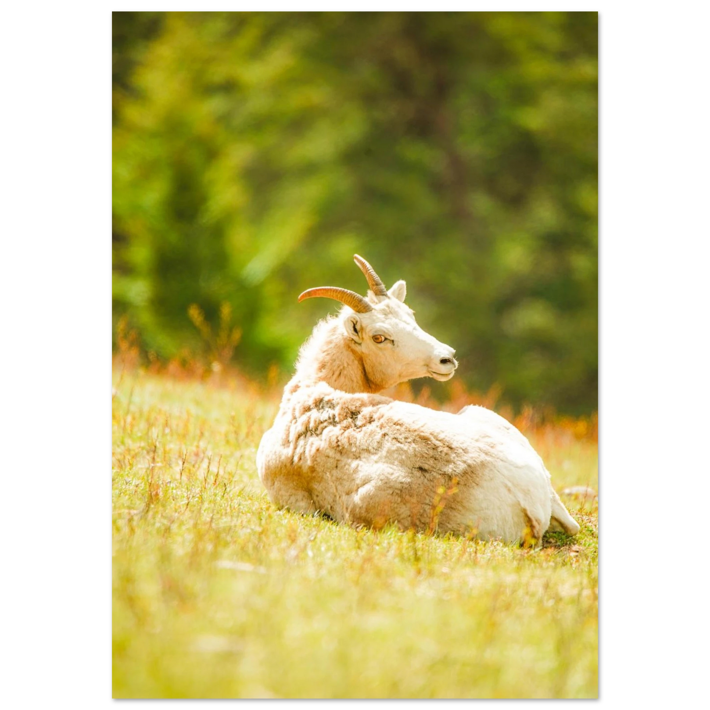 75e72a85-3405-4e72-b558-bb5698081c20