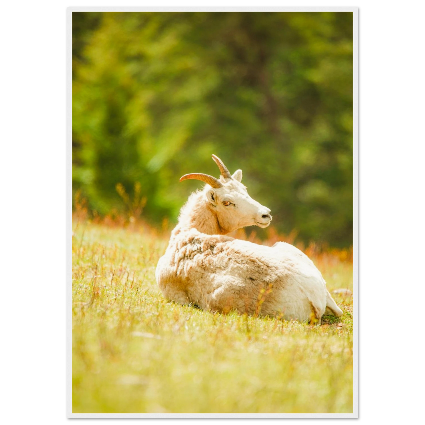 76a7dda1-1c94-4116-8223-ea93a2778e61