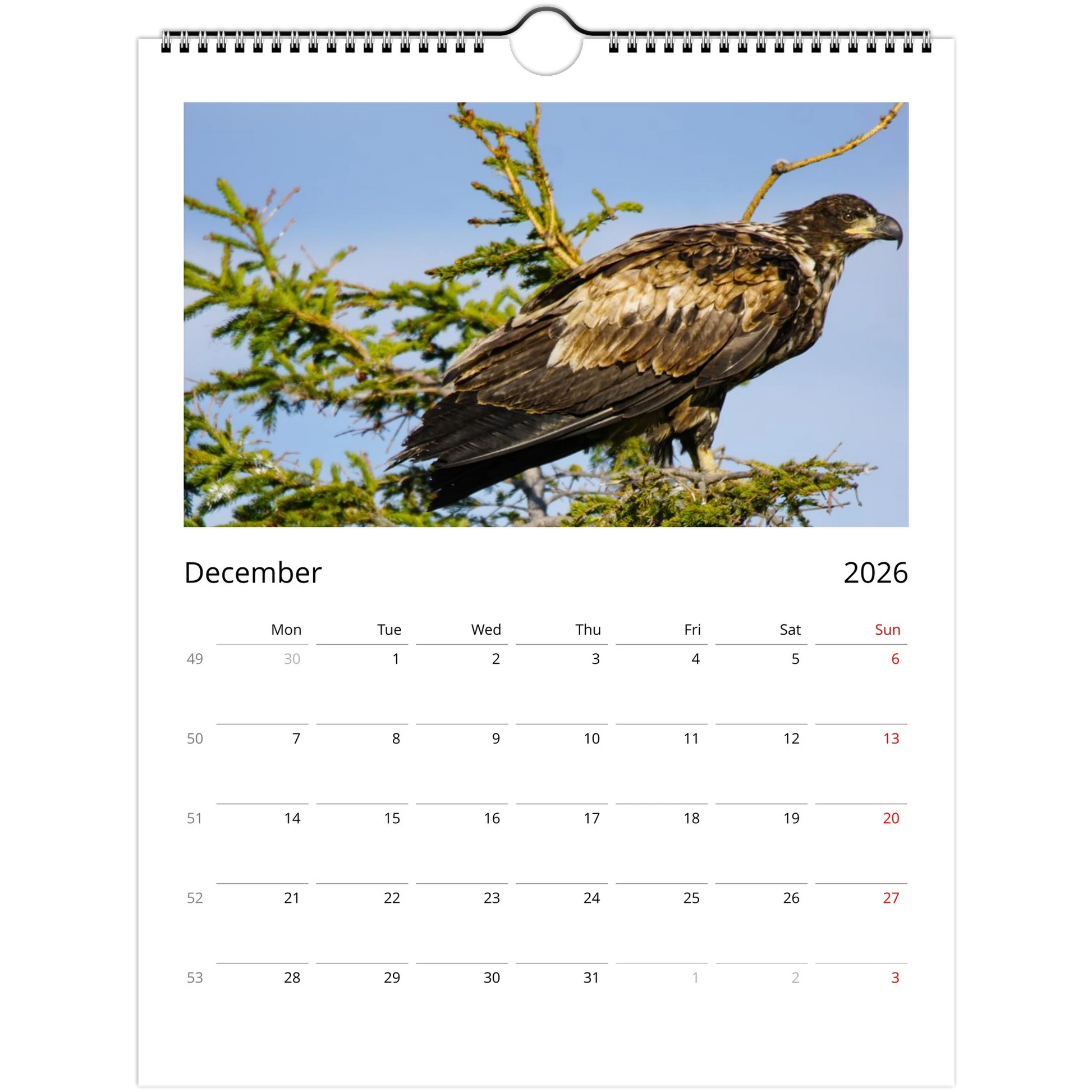 79bbe573-fc1c-422e-9a0e-fa3d1b447703