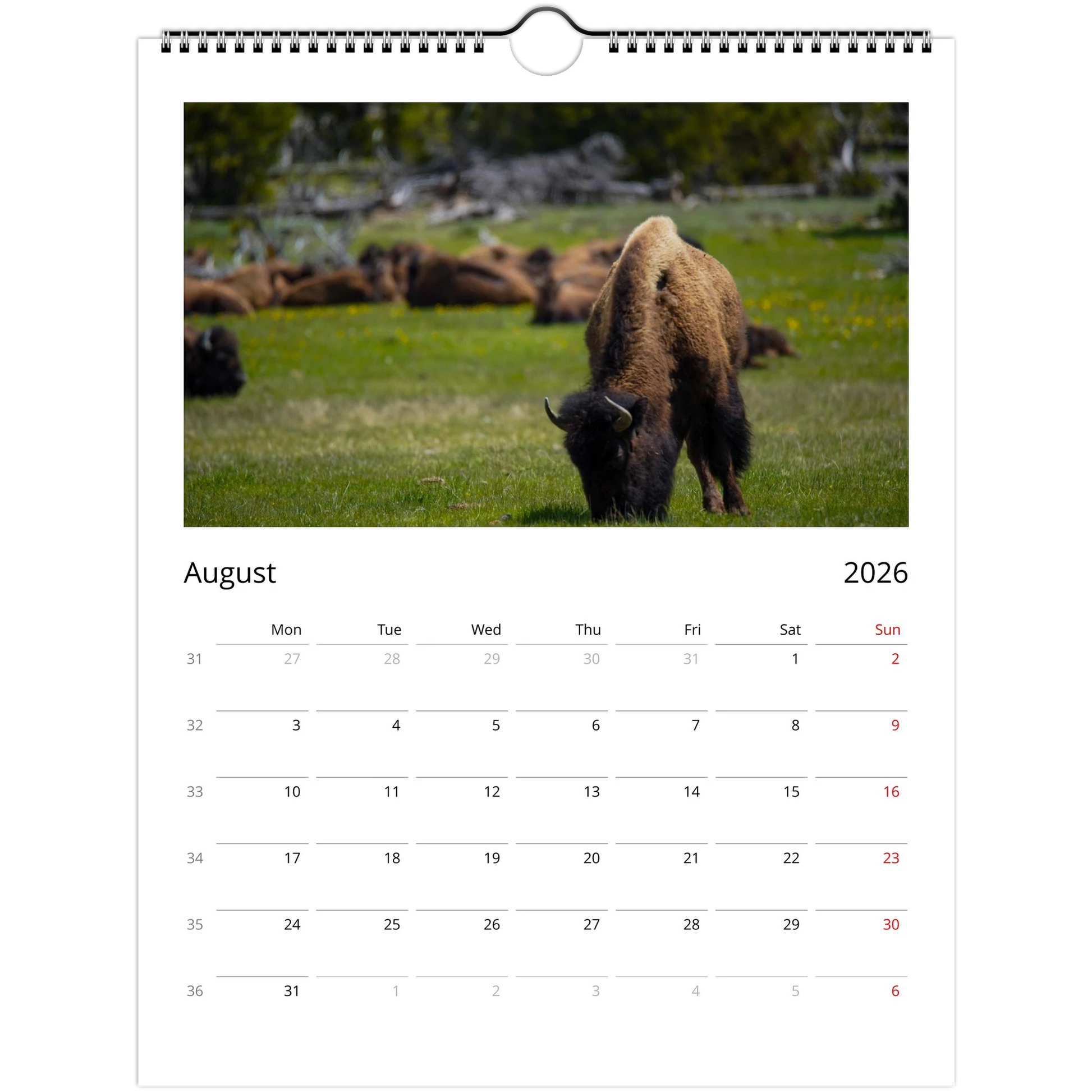 7a947743-b88e-48fc-a48a-946bff85f7fe