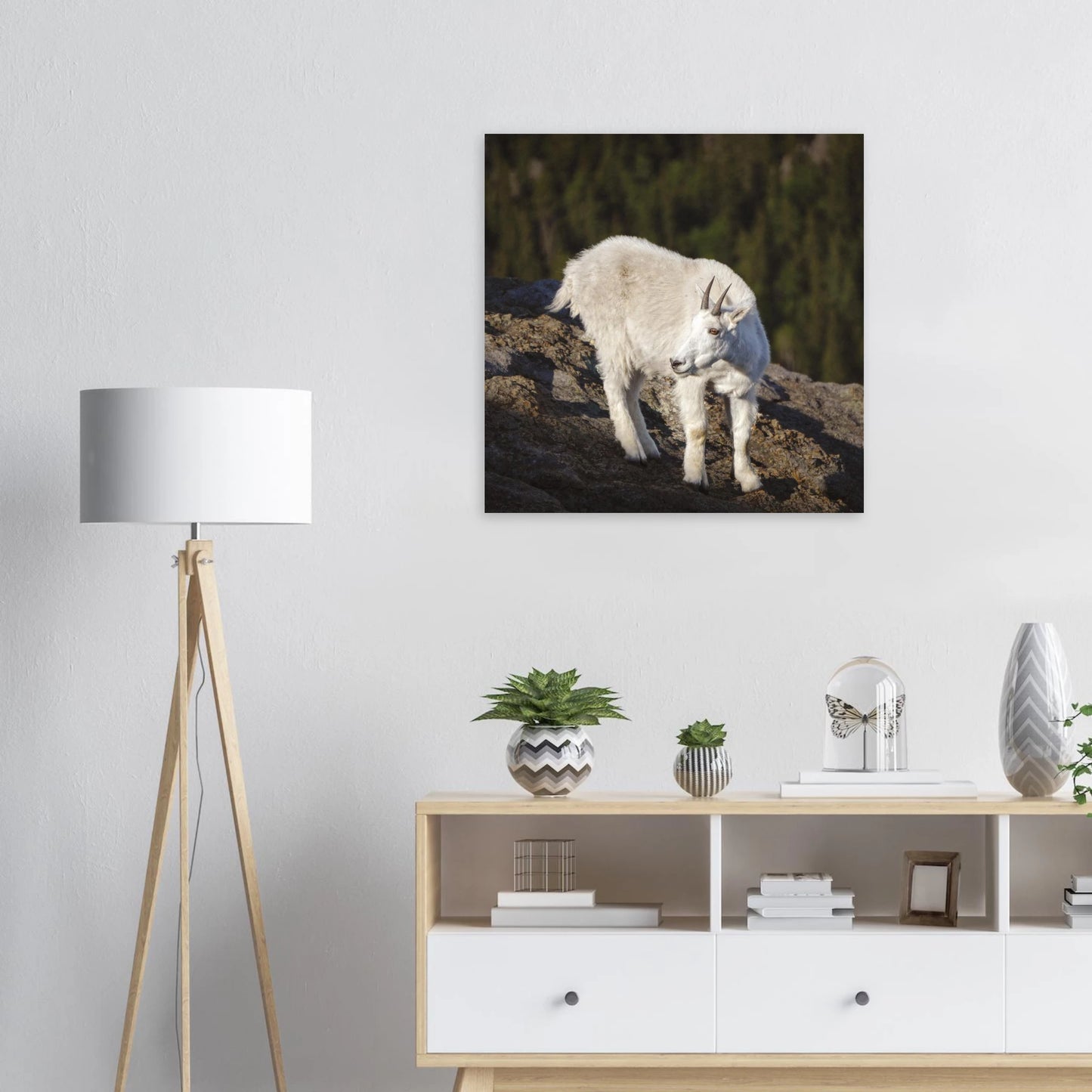 7b89c273-3d86-40fa-910f-8c414bd67503