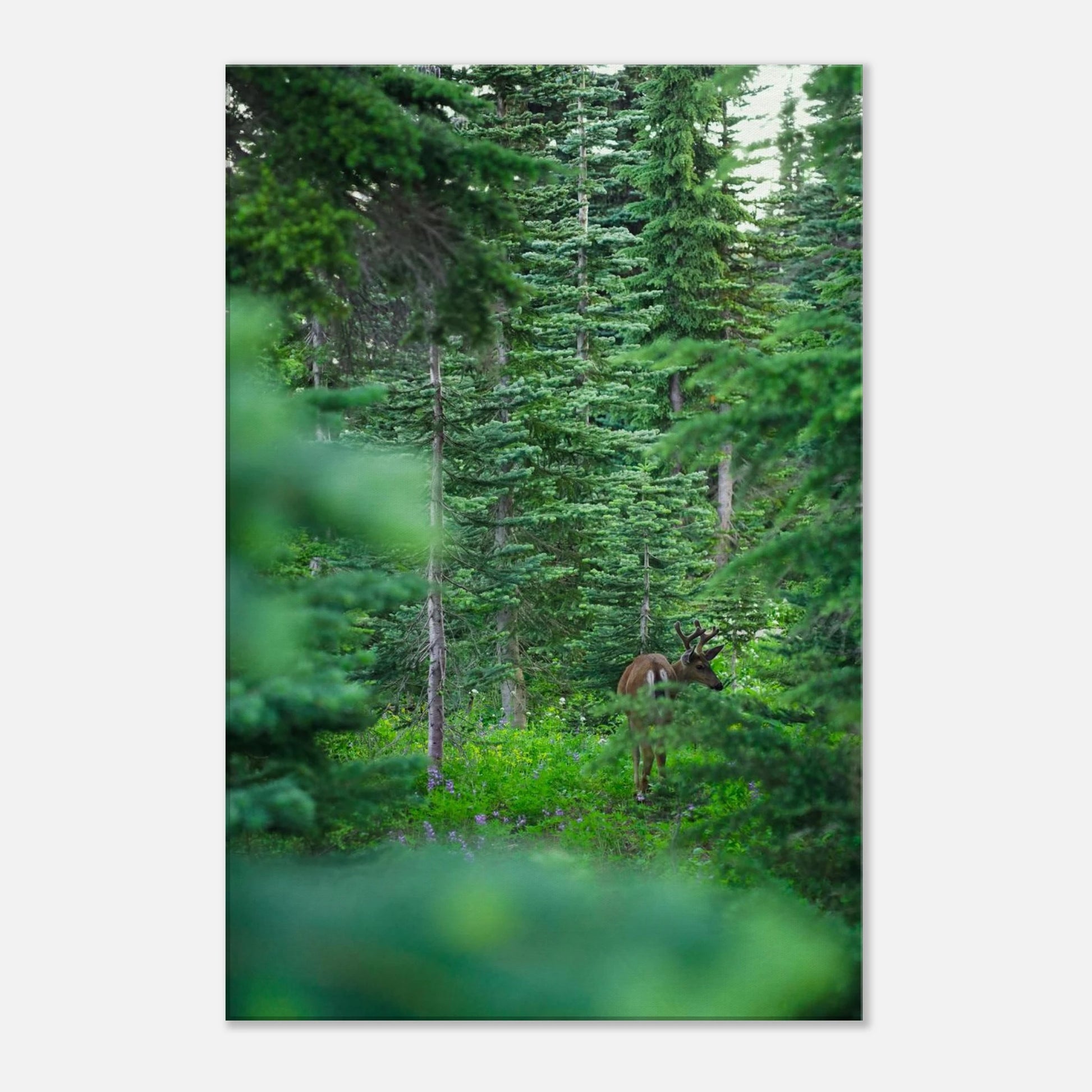 7bcc737e-15a0-4e12-9f3d-3036882b40f0