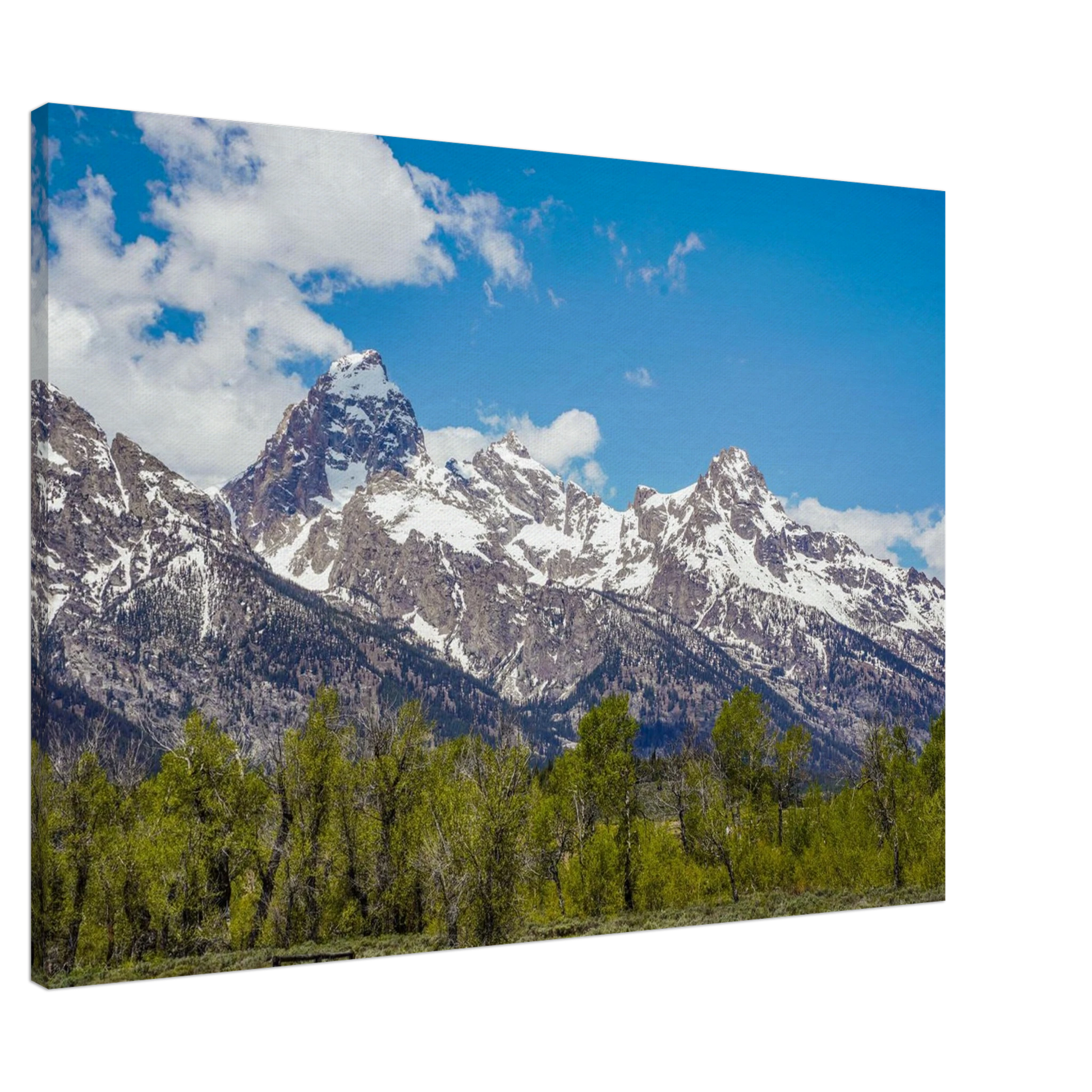 7df19dc4-e98c-4da8-9b0a-e0bbb17584a5