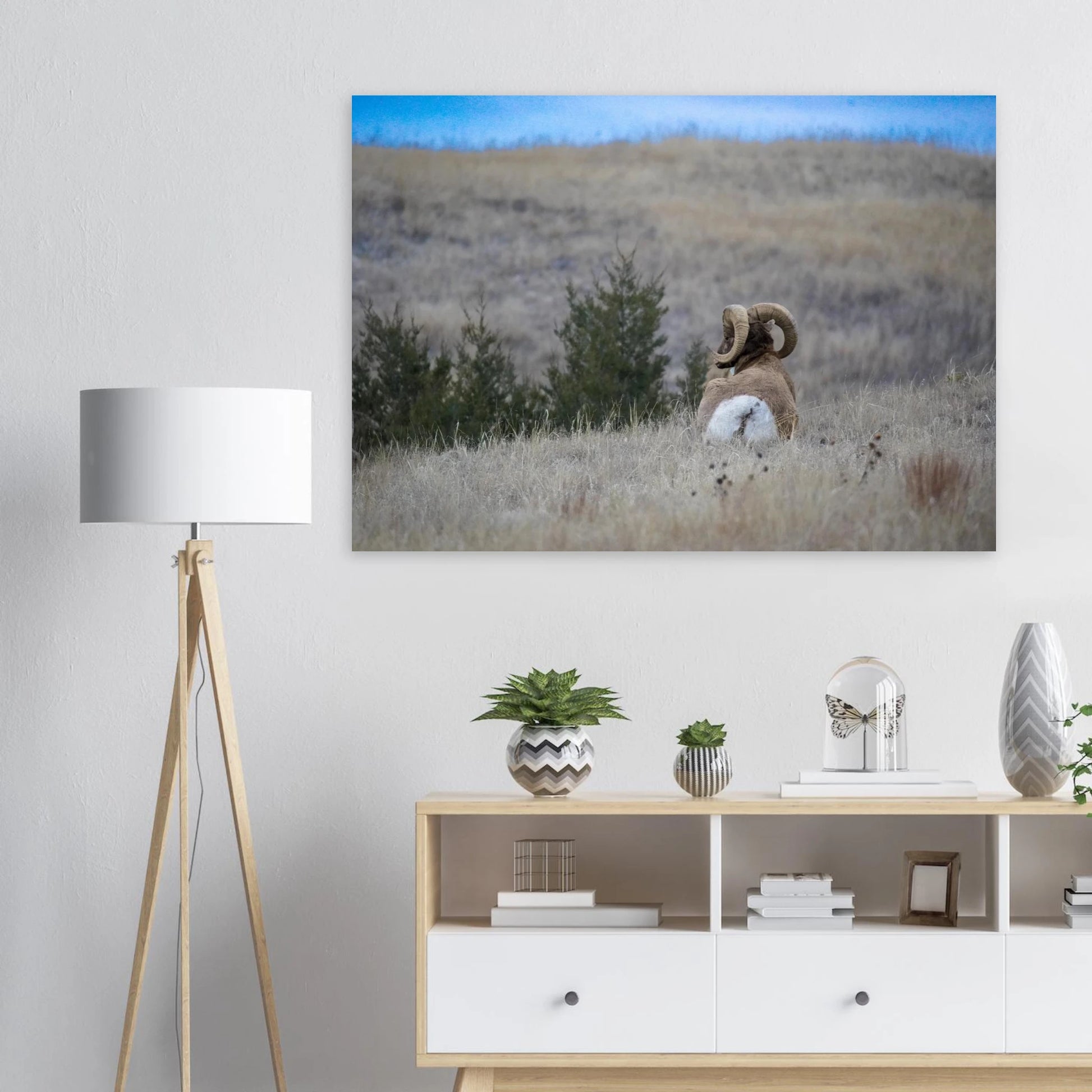 7df5c178-4483-450a-b1f2-58c8bda8916d