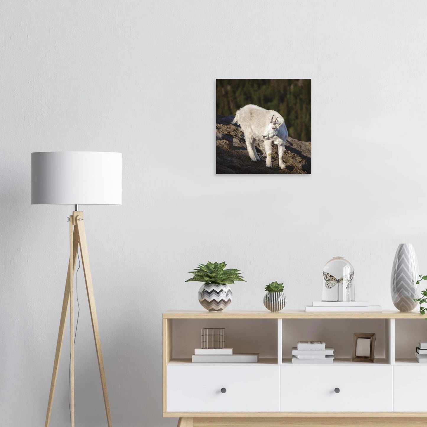 7e1aba92-2e58-4108-921f-12bd67bc383b