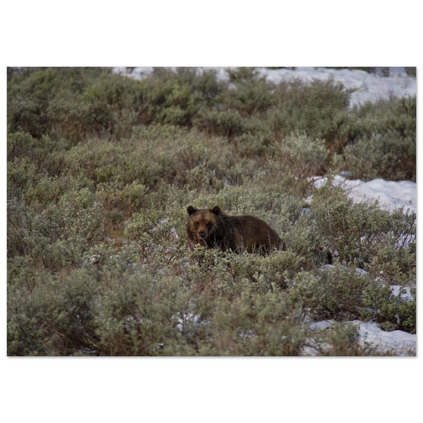 7f29b5b1-de3d-421c-aa06-4e5a2188dc3f