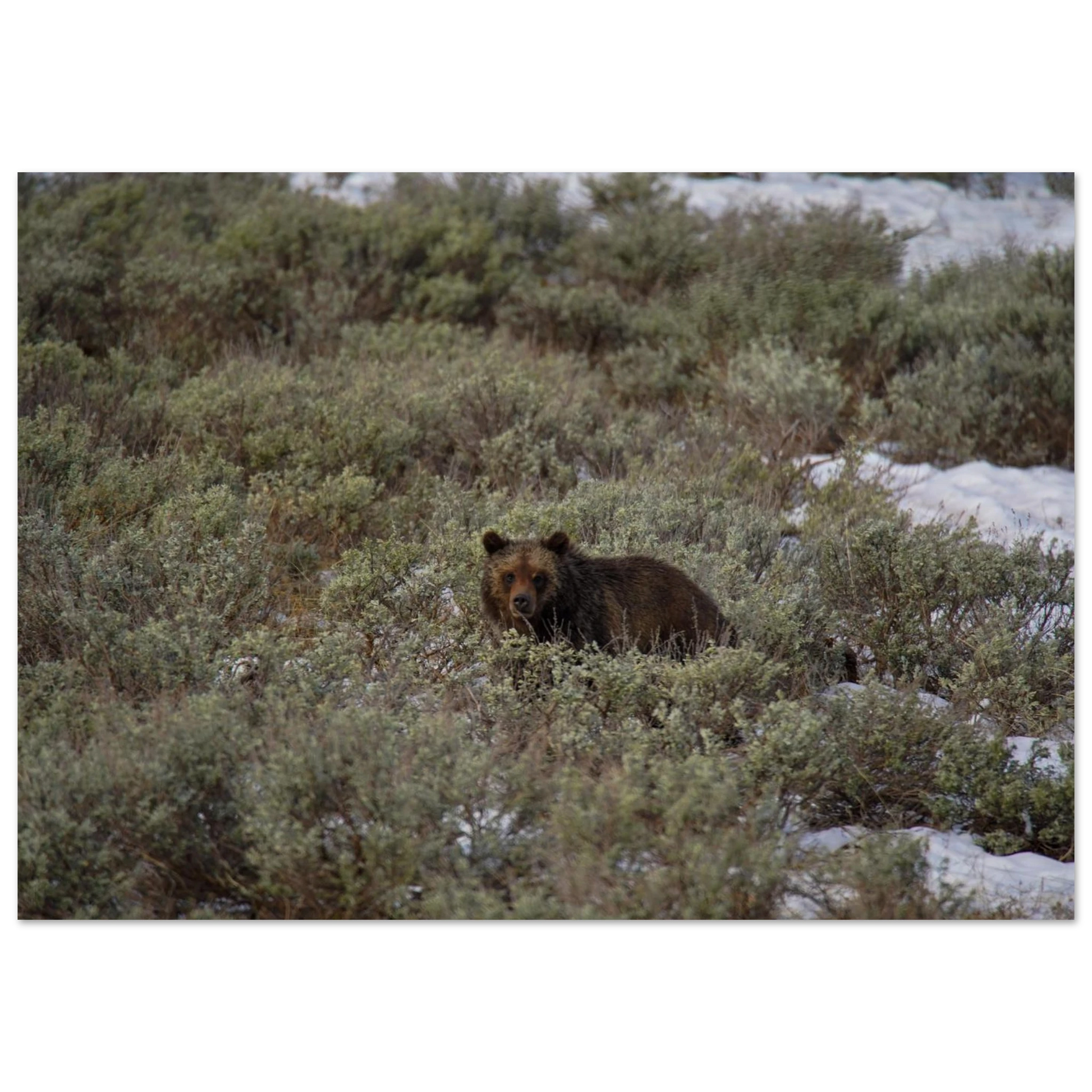 7f29b5b1-de3d-421c-aa06-4e5a2188dc3f