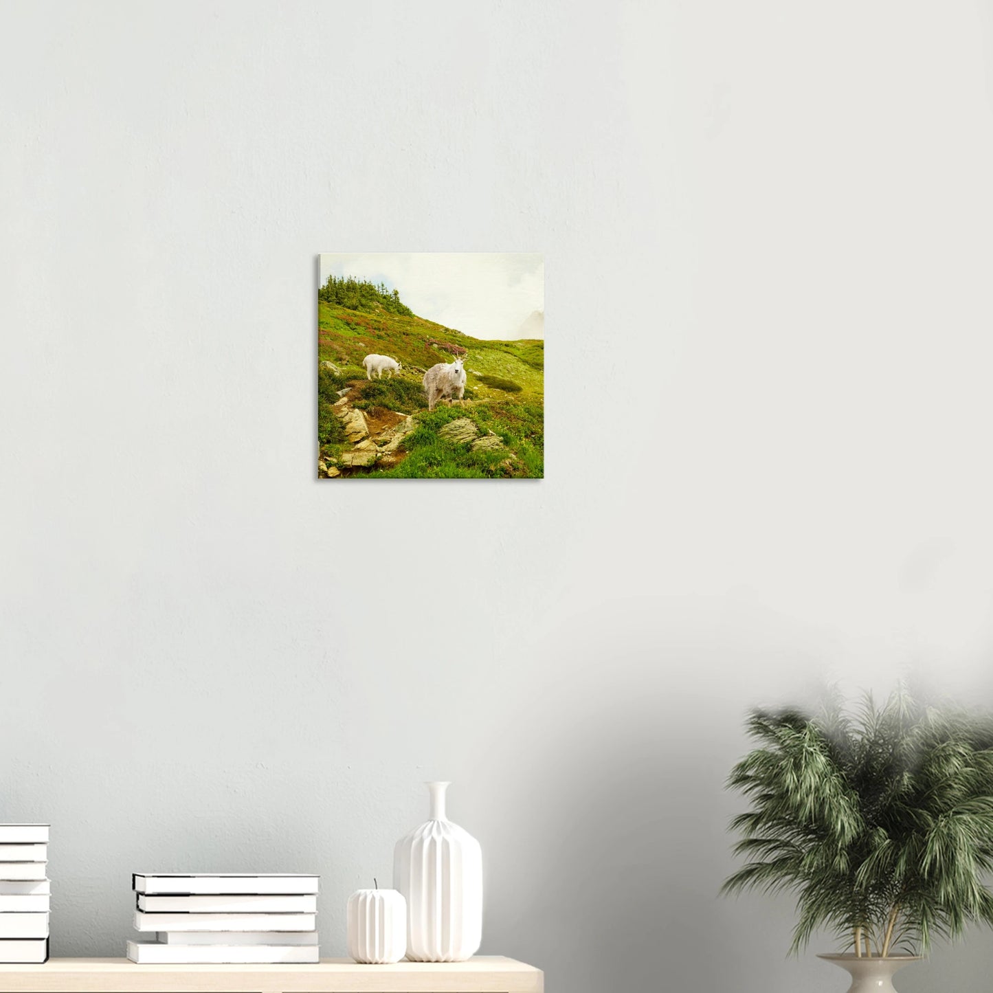 8001aa1d-9c91-4d01-a202-a0b57fdb1721