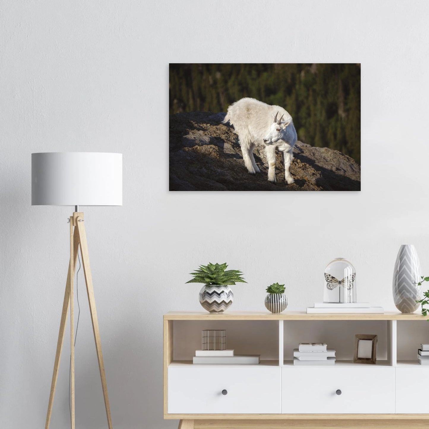 804b3c97-4512-412b-9362-d73856a28ba0