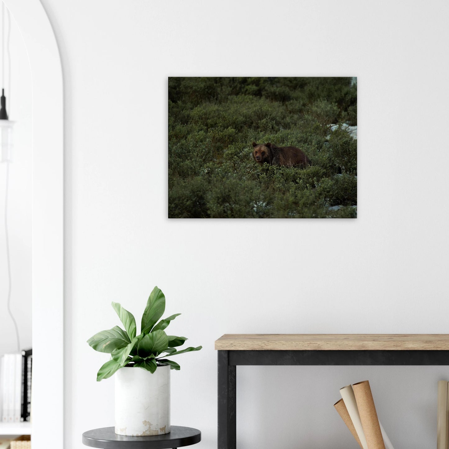 81495126-9965-458e-bf05-dfa3461def5f