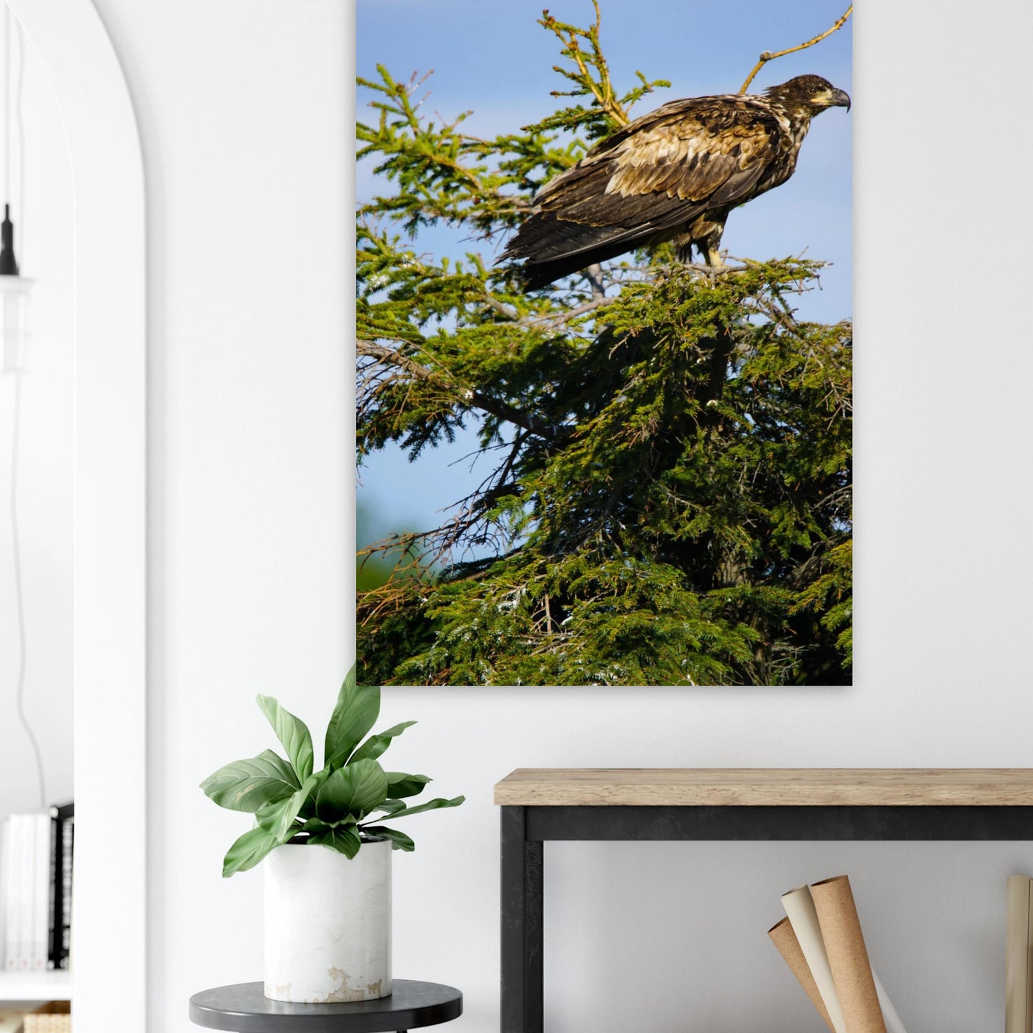 816d0bb9-1546-4a6e-8043-bb809ff2d41e