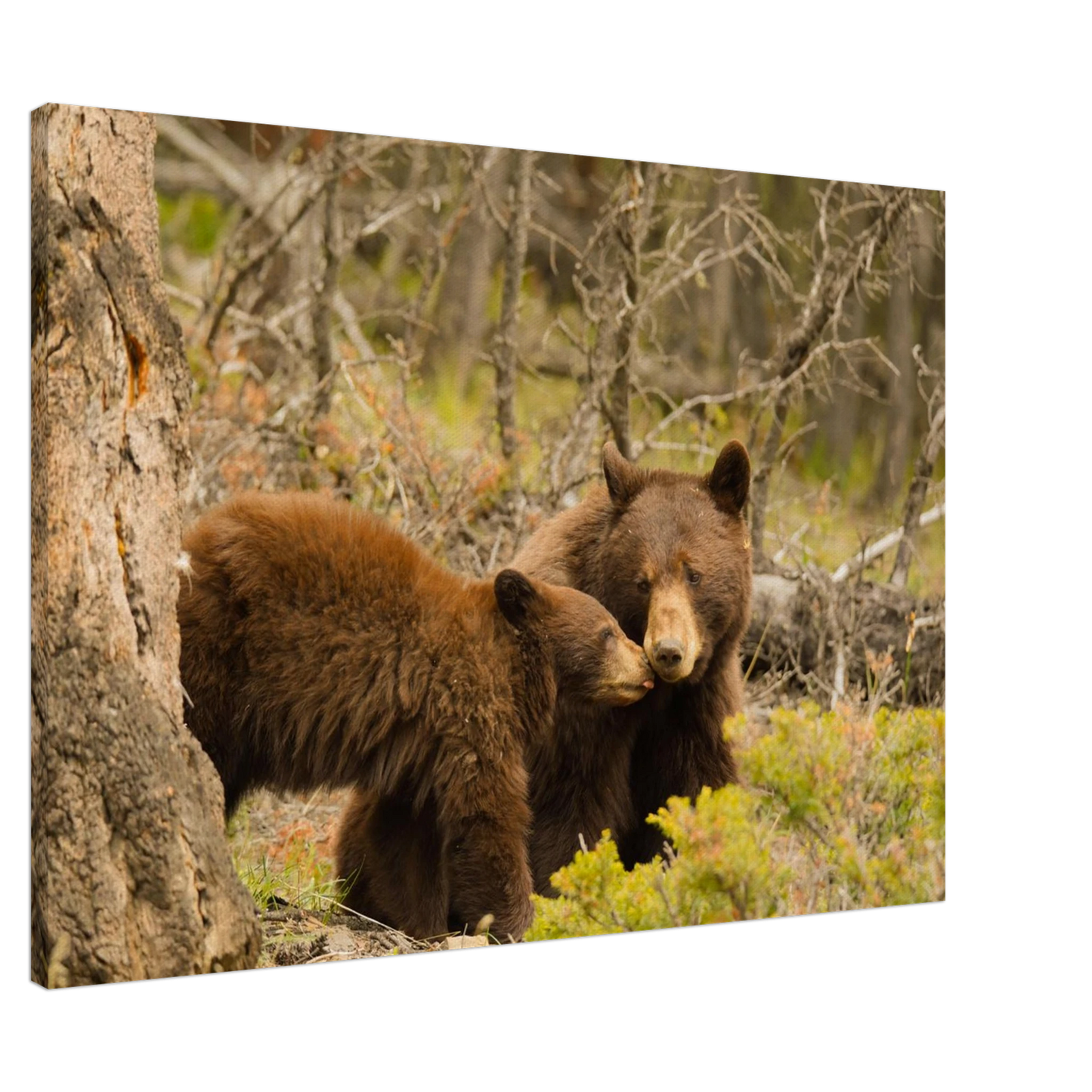 842fe288-745b-4ce1-81f2-3d16b17e4d52