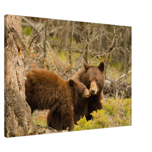 842fe288-745b-4ce1-81f2-3d16b17e4d52